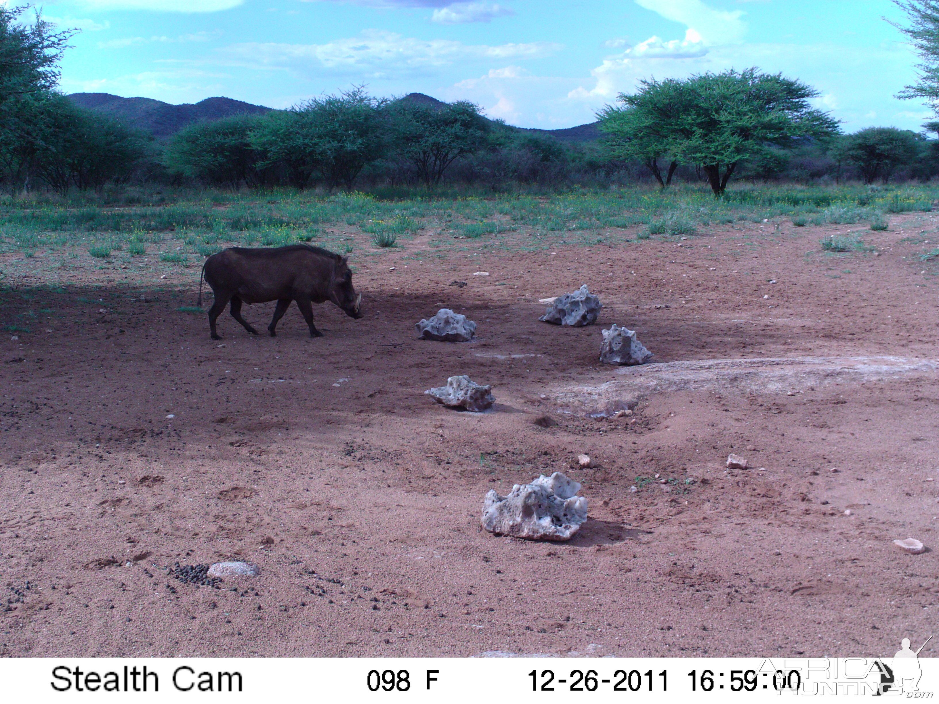 Trail Camera Namibia