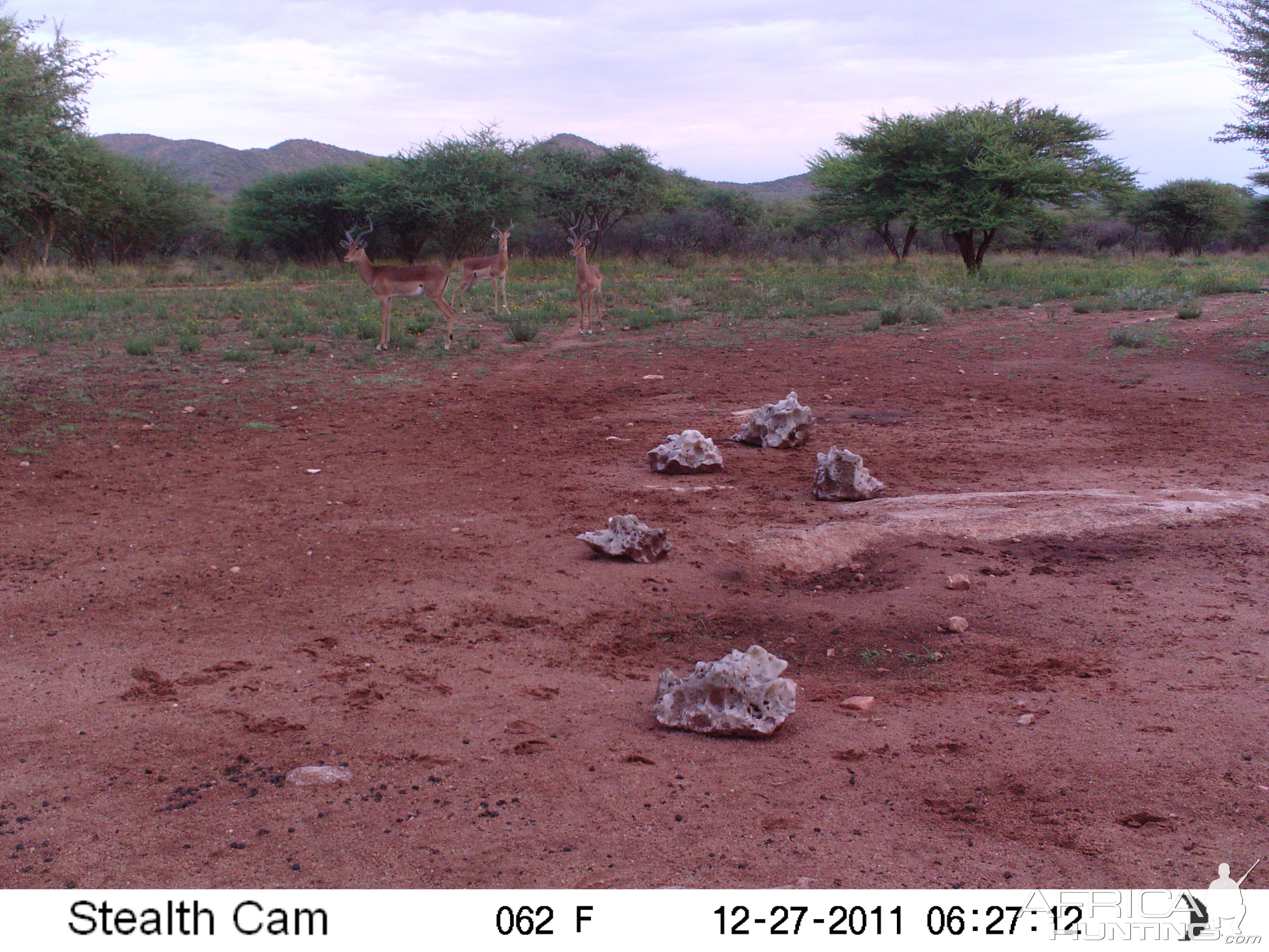 Trail Camera Namibia