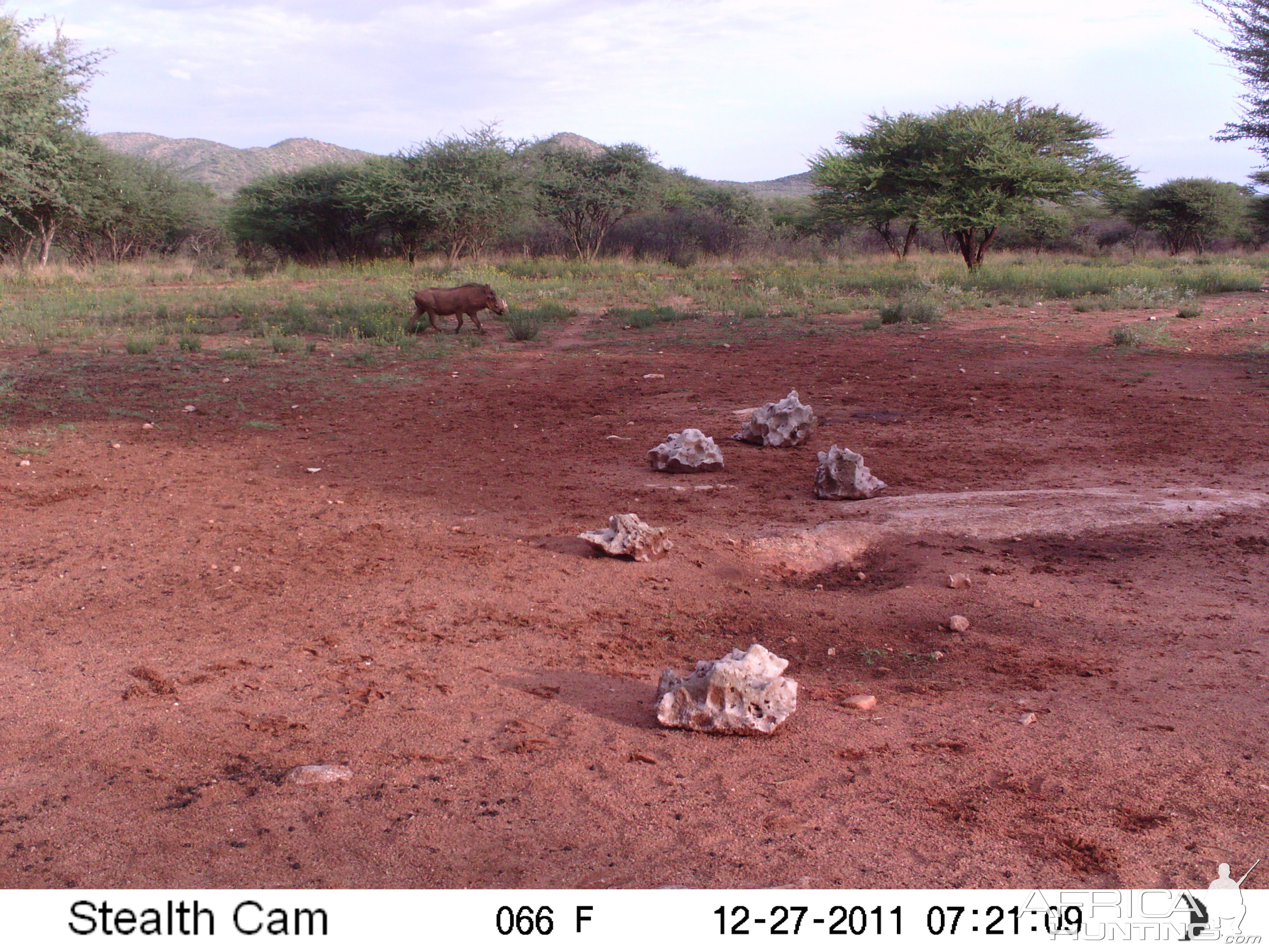 Trail Camera Namibia