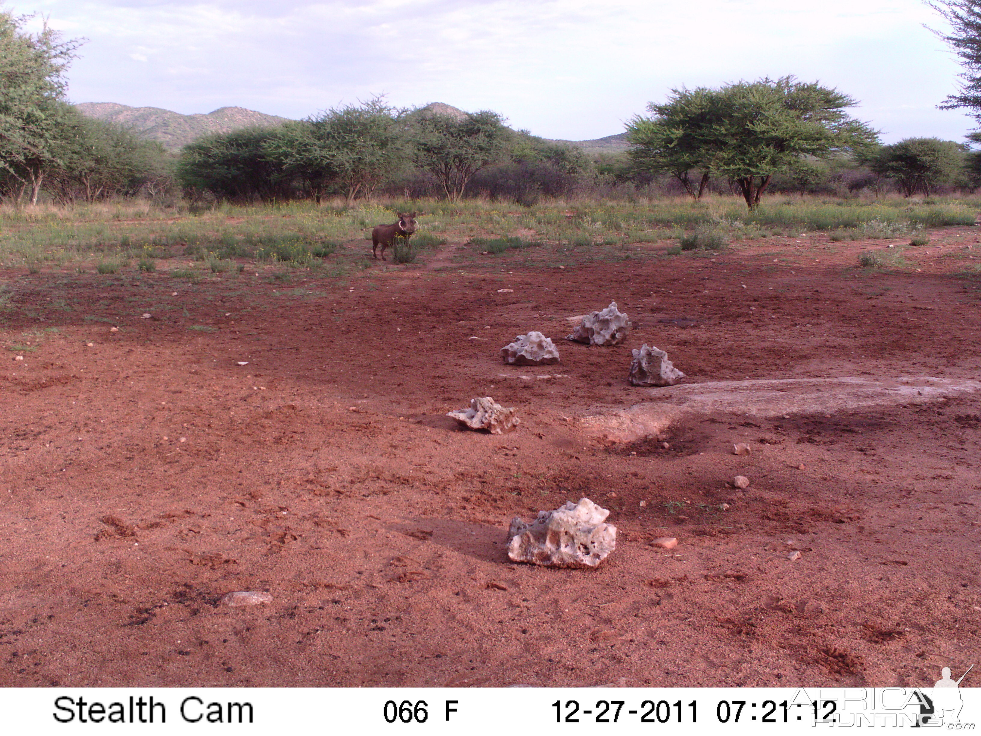 Trail Camera Namibia