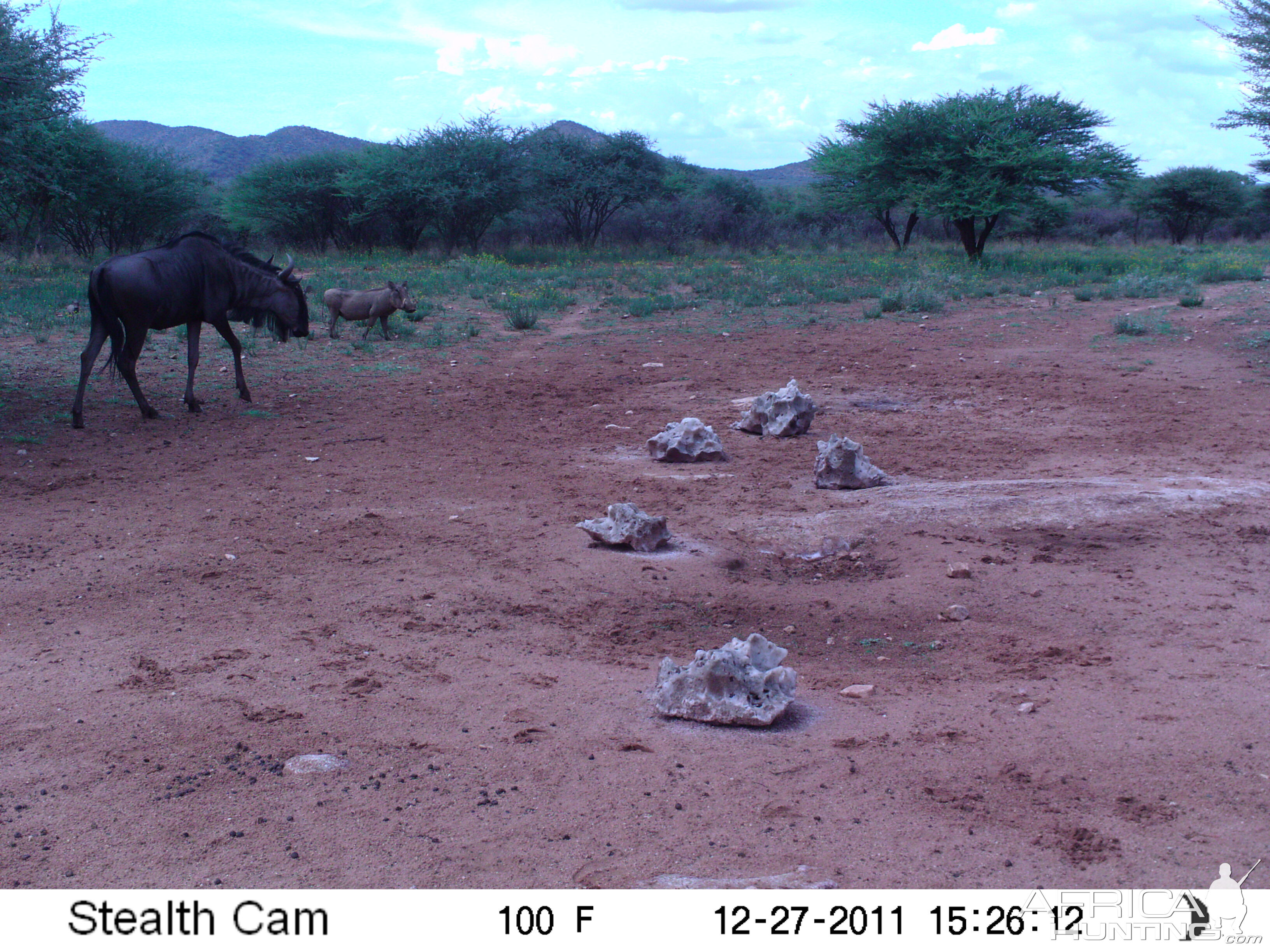 Trail Camera Namibia