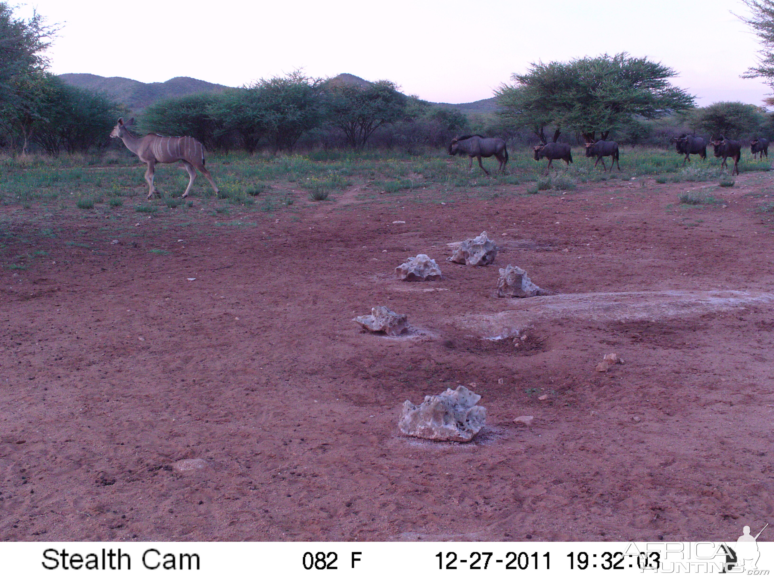 Trail Camera Namibia