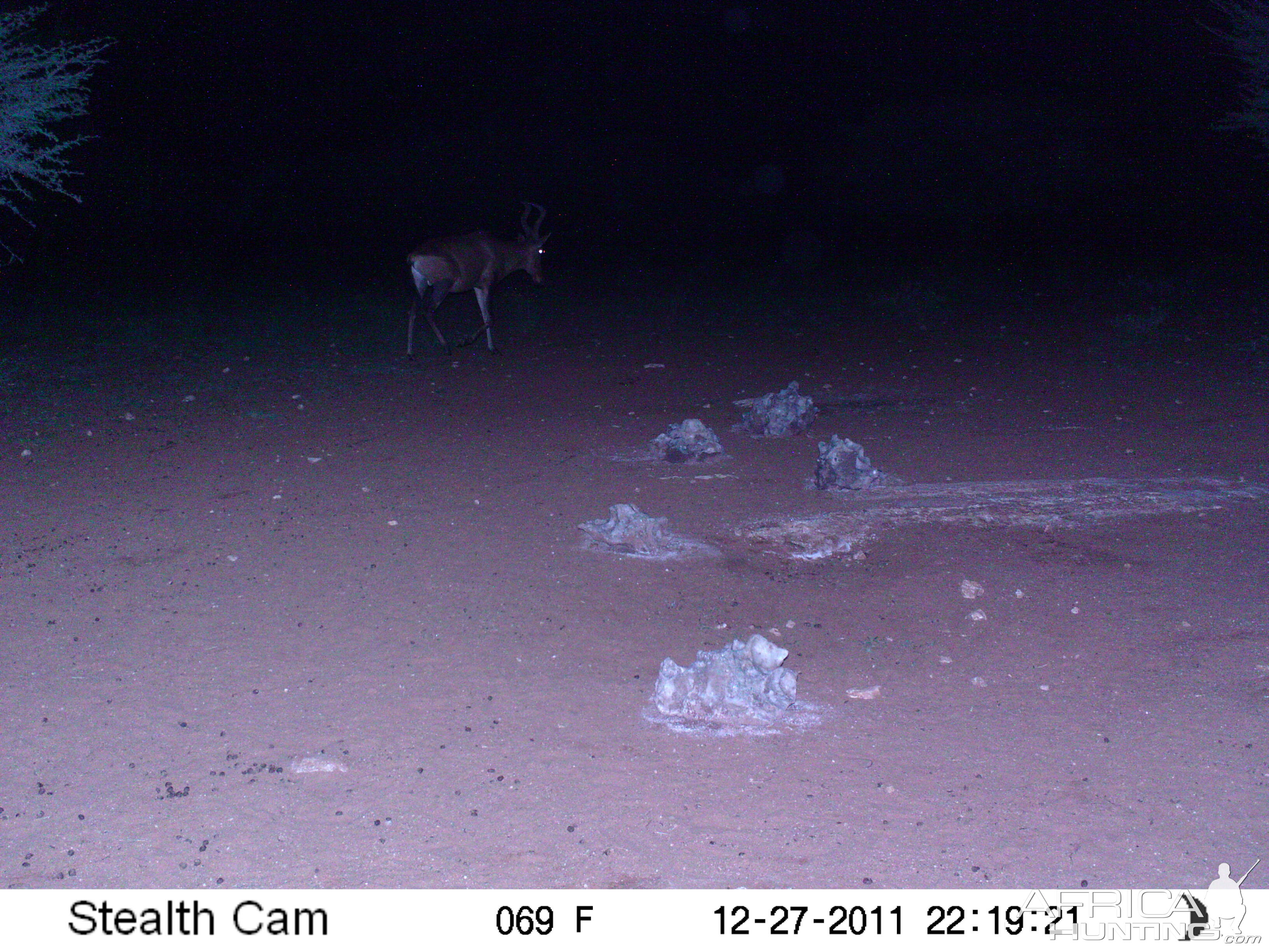 Trail Camera Namibia