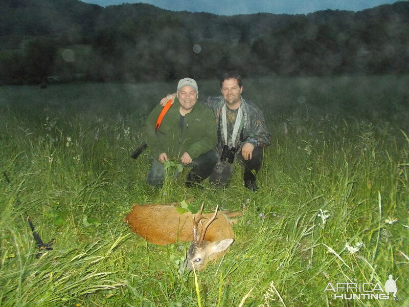 Transylvania Roe buck Hunting