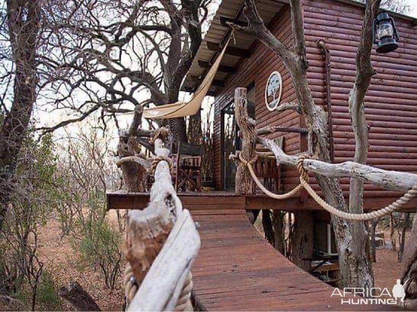 Tree House Accommodation