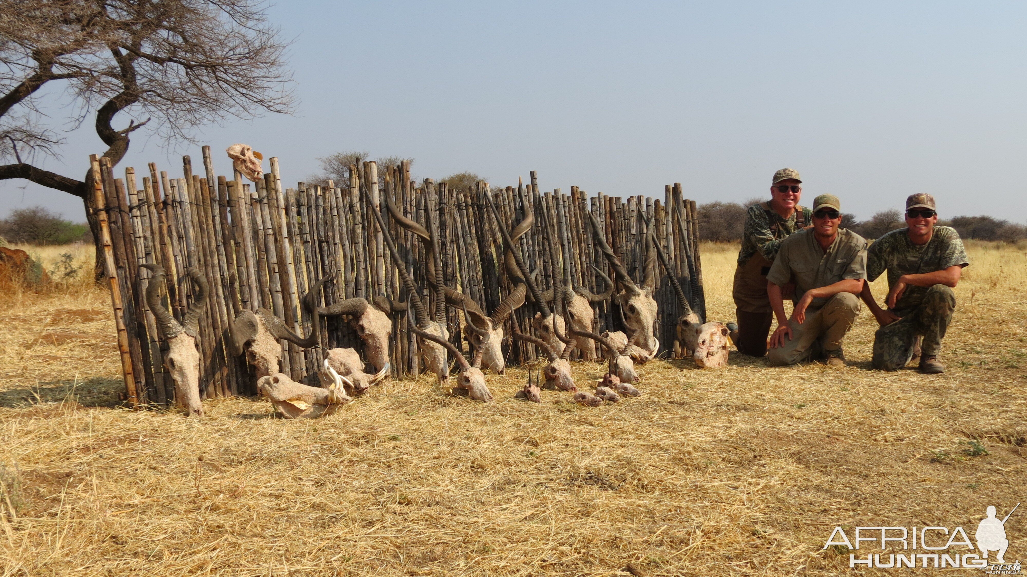 Trophies hunted with Ozondjahe Hunting Safaris in Namibia