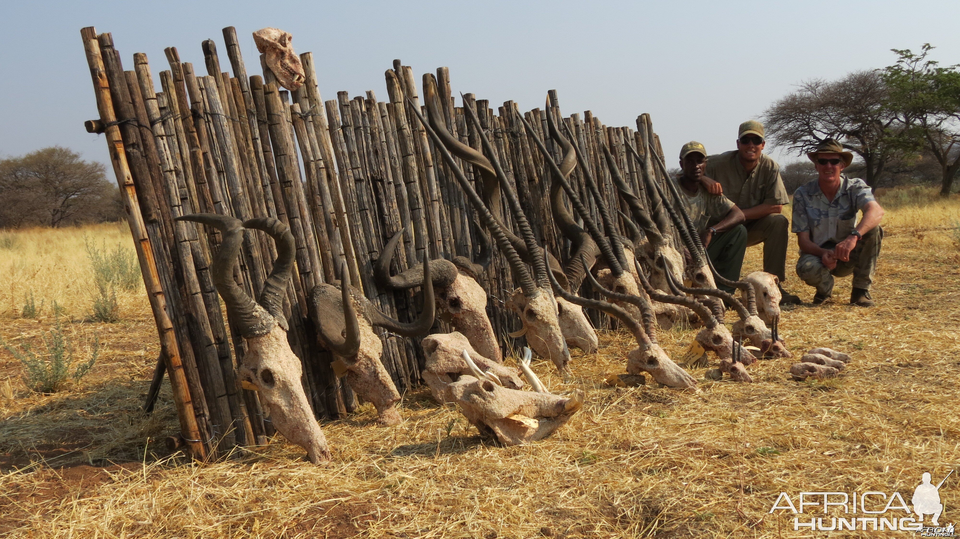 Trophies hunted with Ozondjahe Hunting Safaris in Namibia