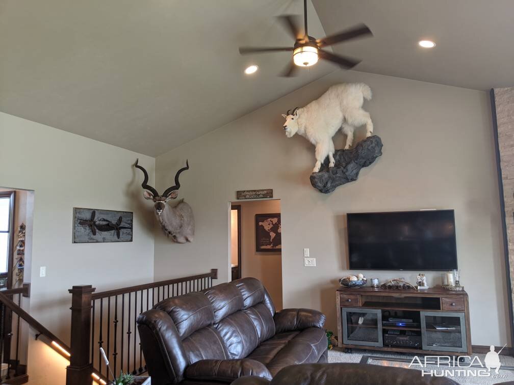 Trophies in the Living Room