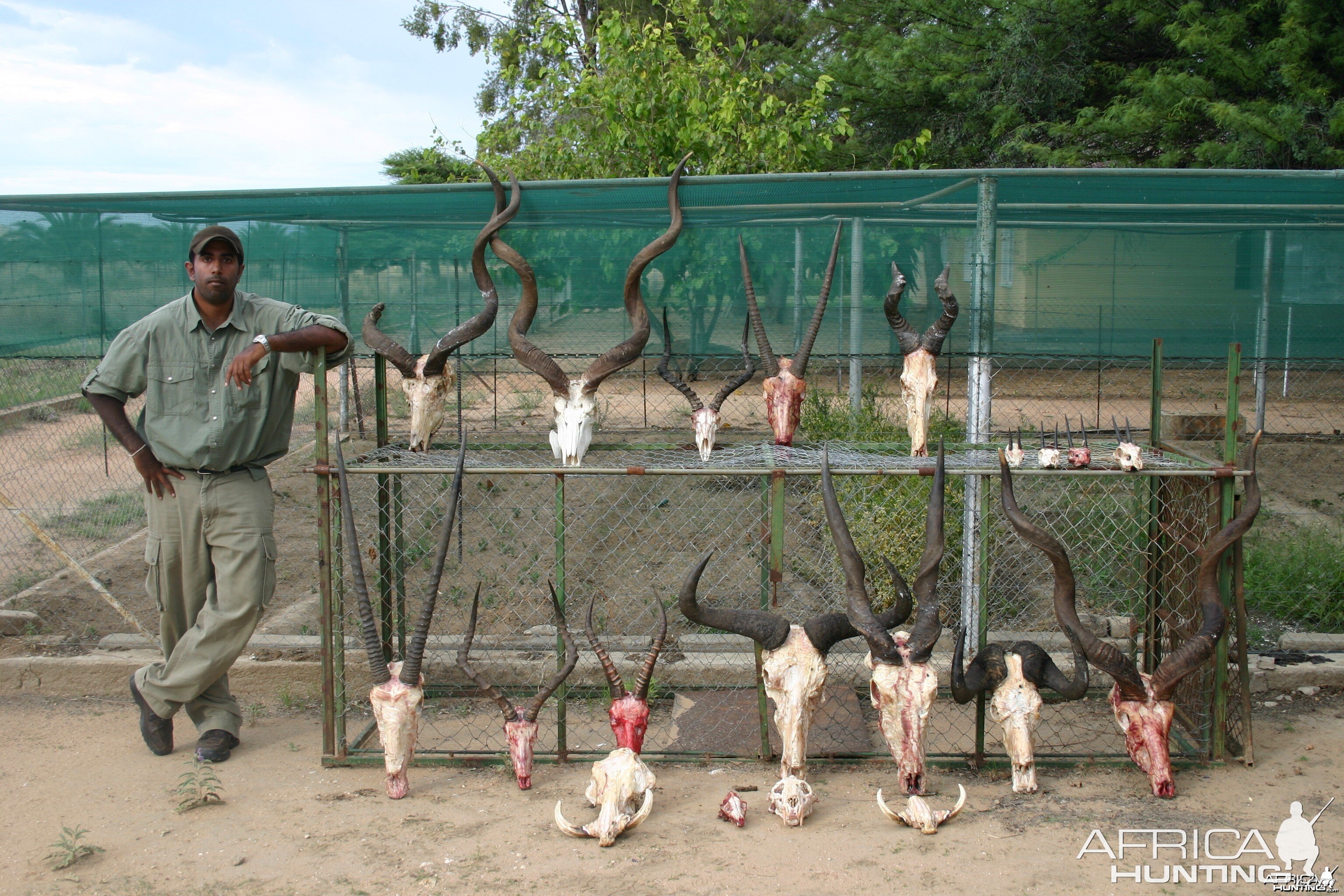 Trophies Namibia