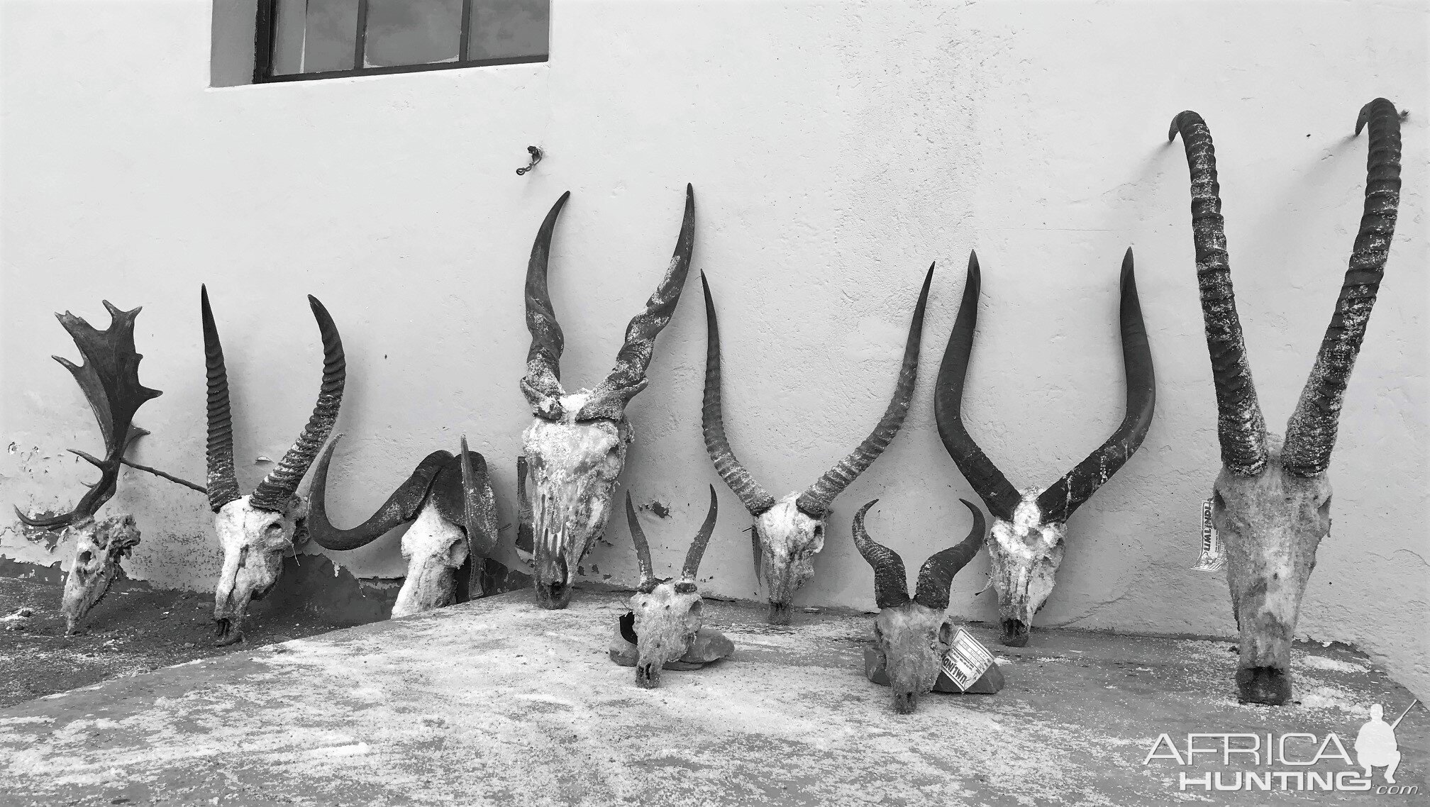 Trophies South Africa