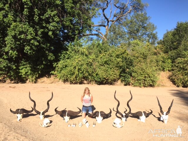 Trophies Zimbabwe Hunt