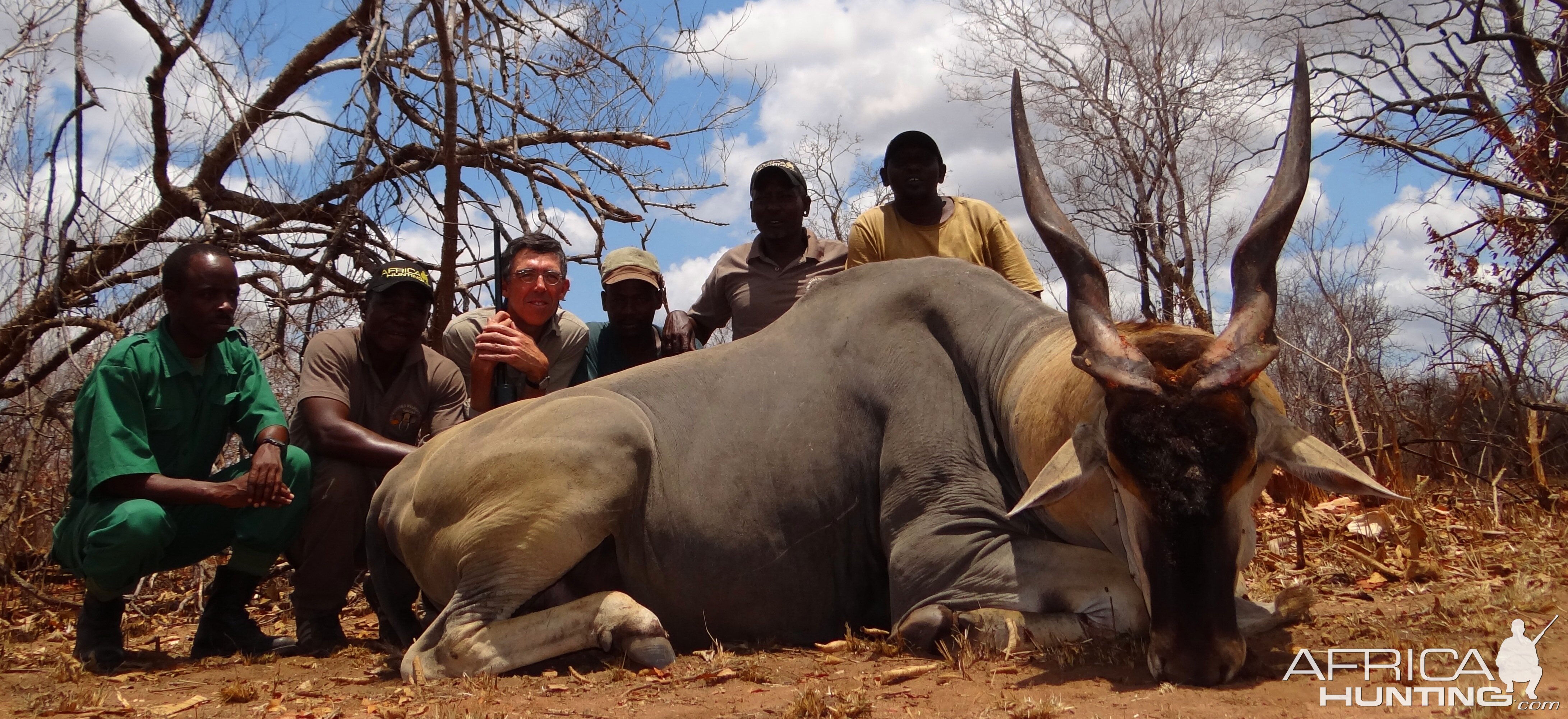 Trophy East African Eland