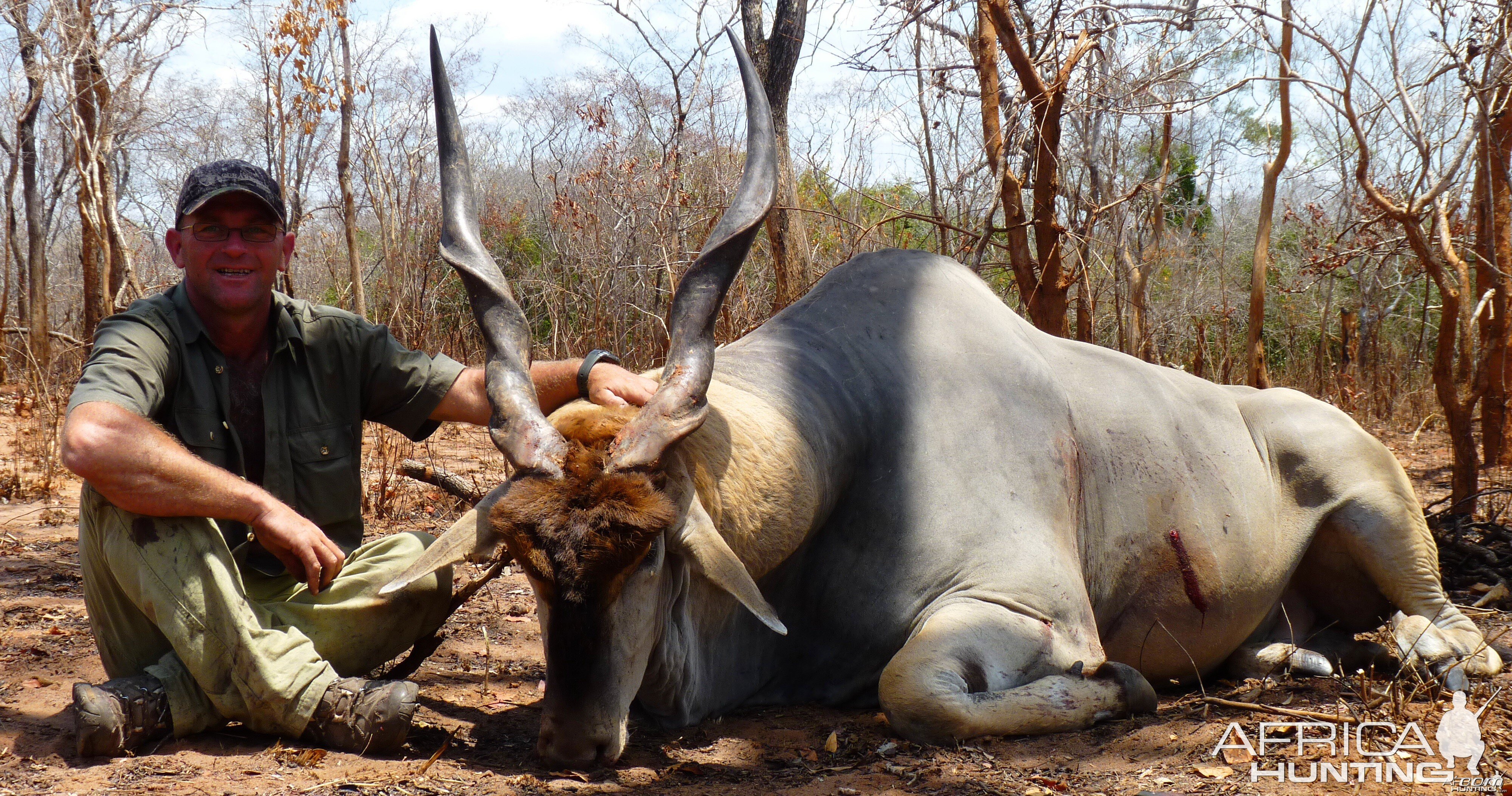 Trophy East African Eland