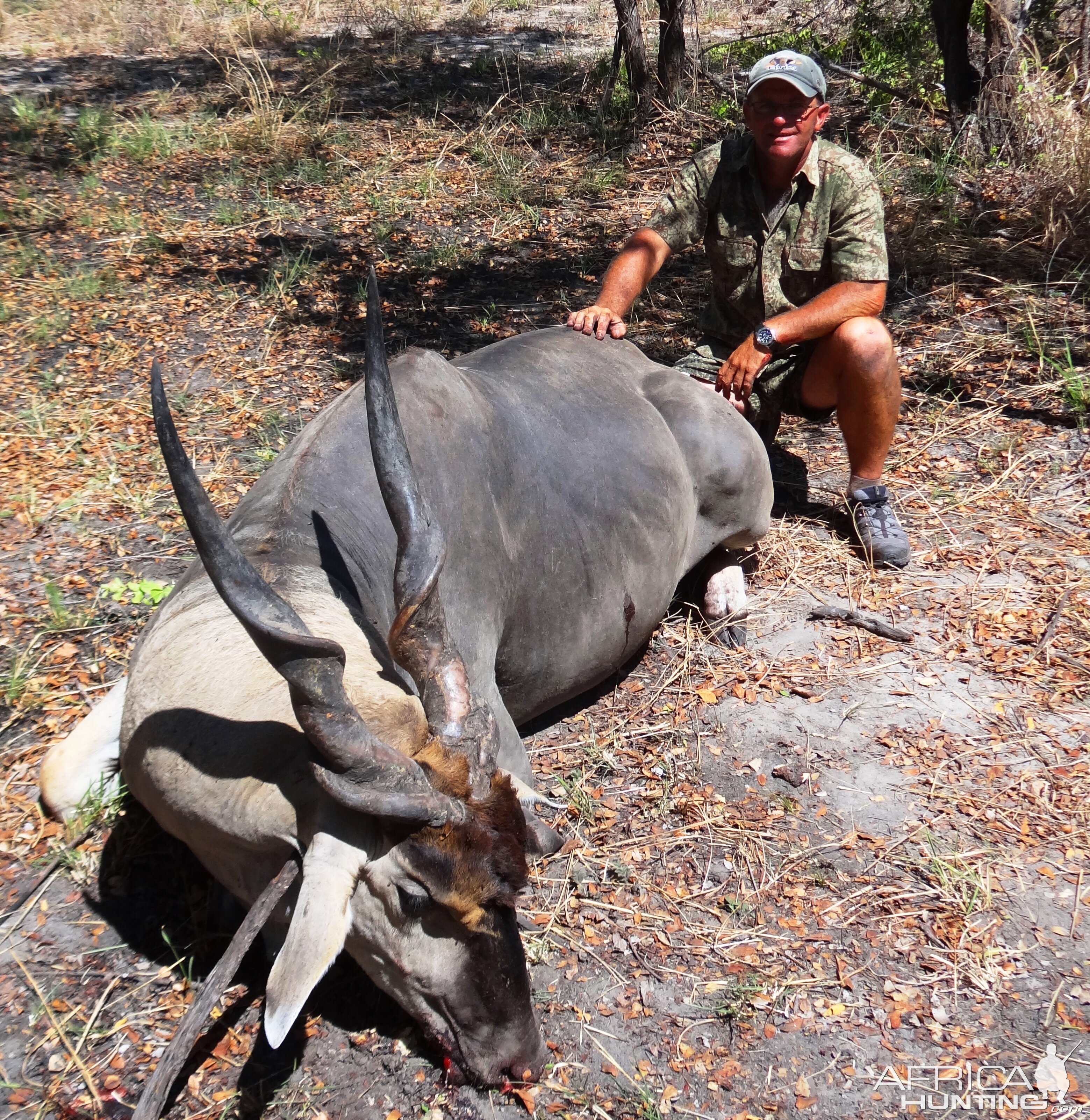 Trophy East African Eland