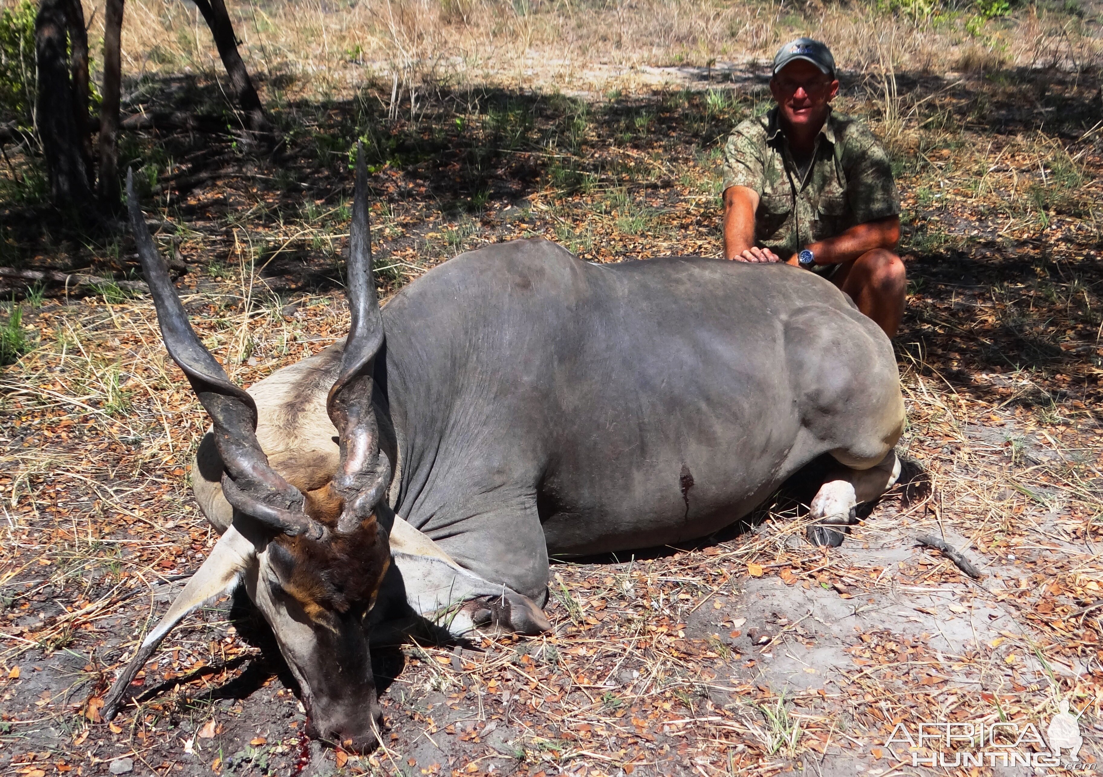 Trophy East African Eland