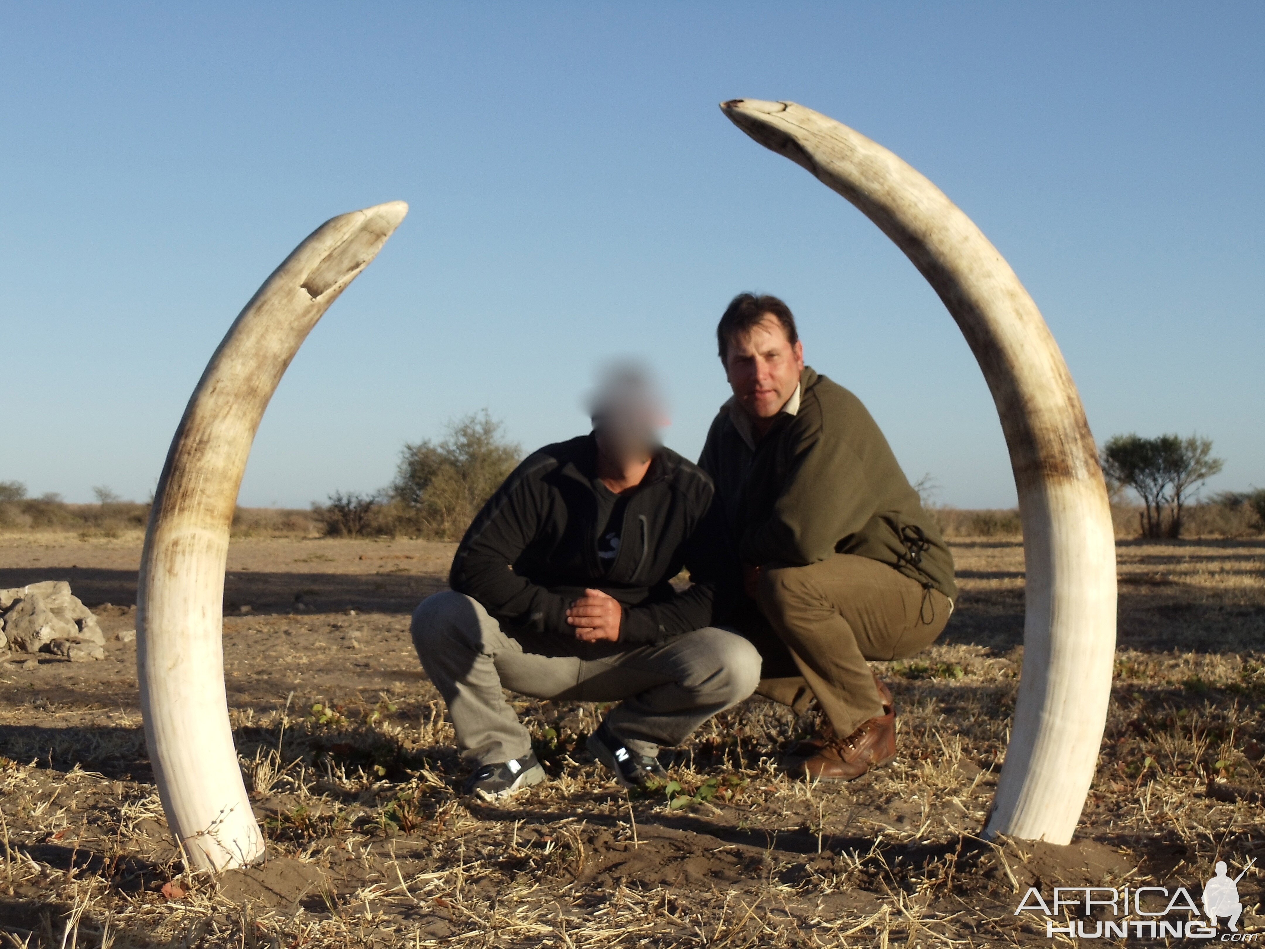 Trophy Elephant Hunt Caprivi Namibia