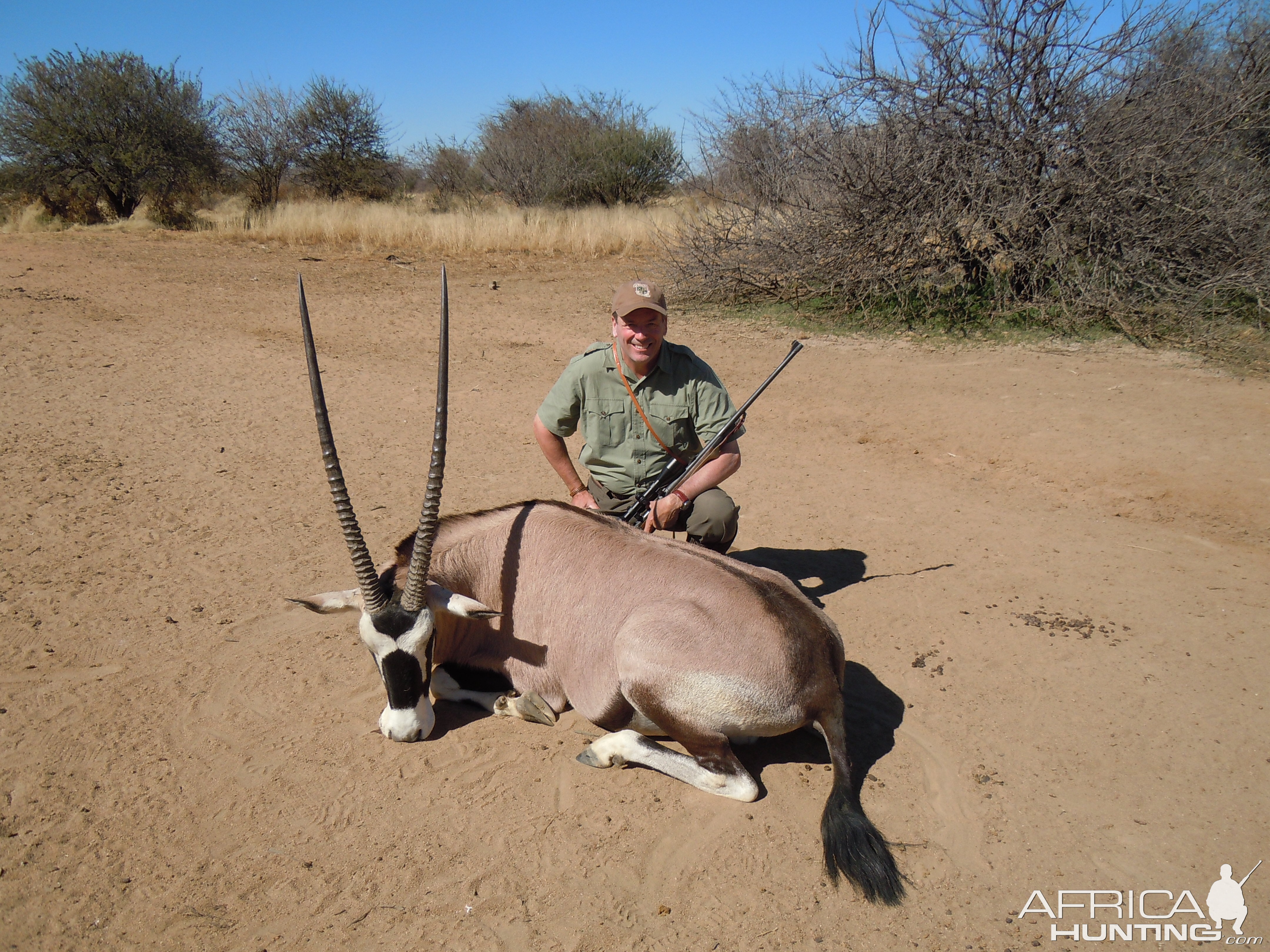 Trophy Gemsbok