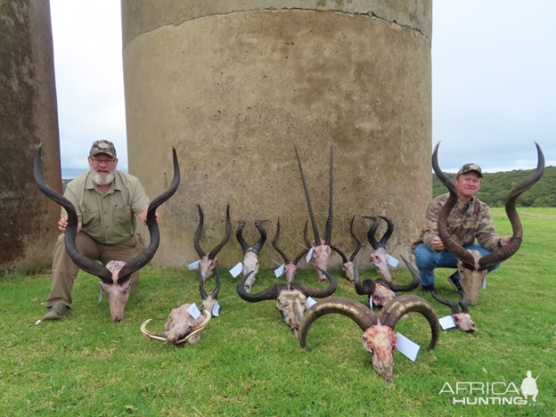 Trophy Hunt Eastern Cape South Africa