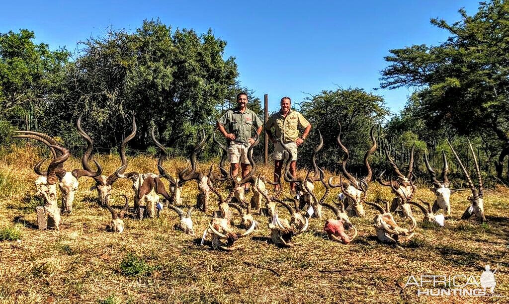 Trophy Hunt South Africa