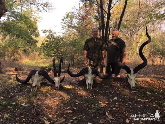 Trophy Hunt Zambia