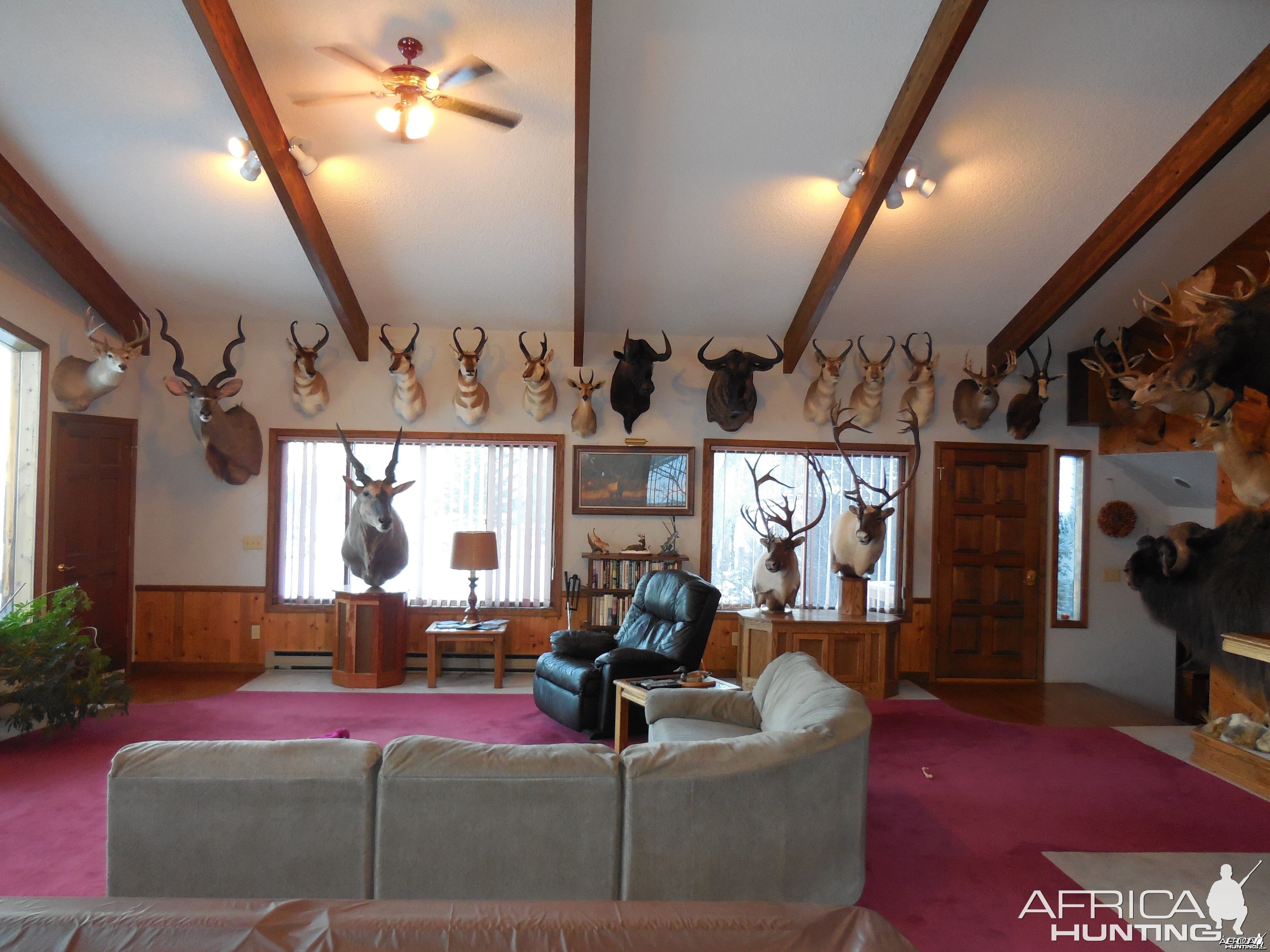 Trophy Room North Wall