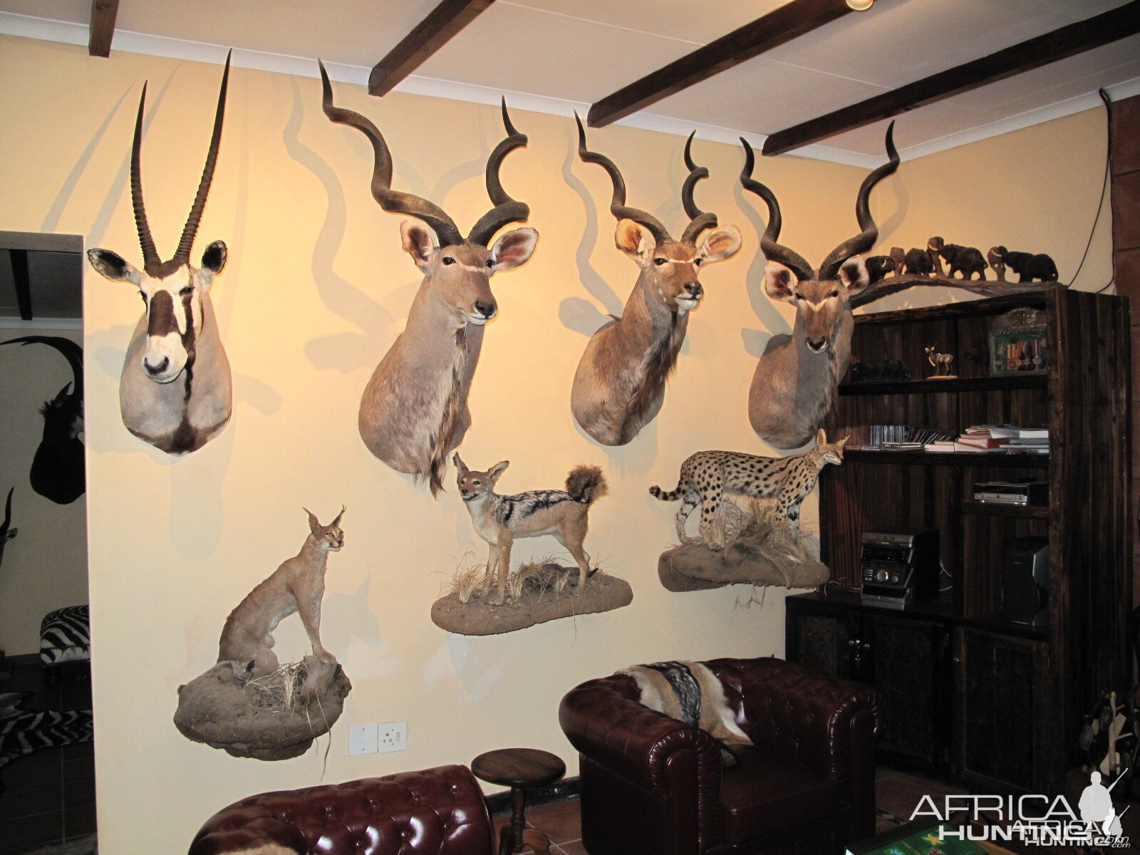 Trophy Room