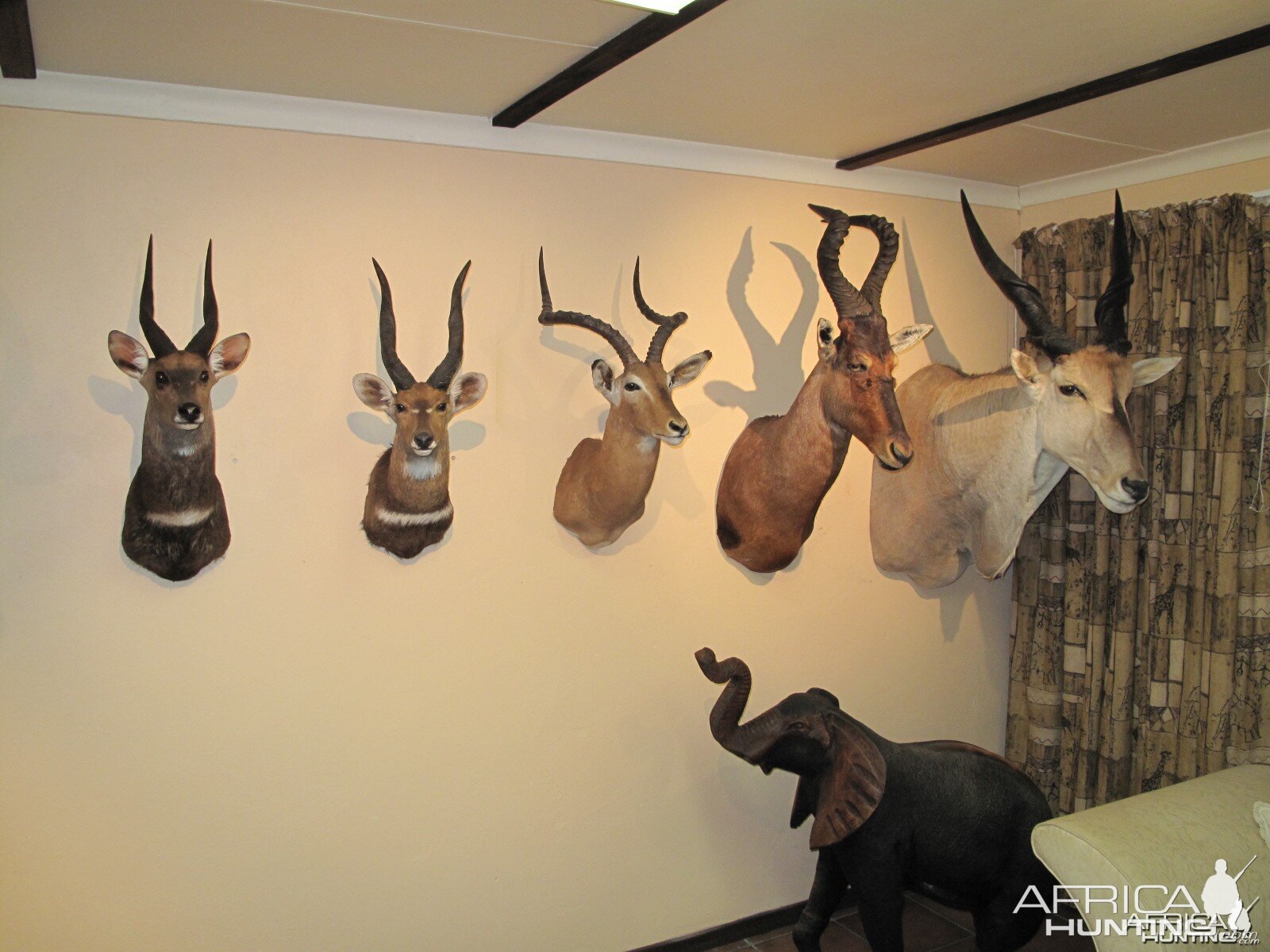 Trophy Room