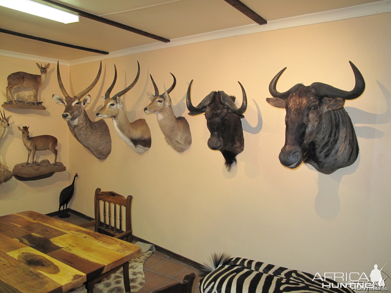 Trophy Room