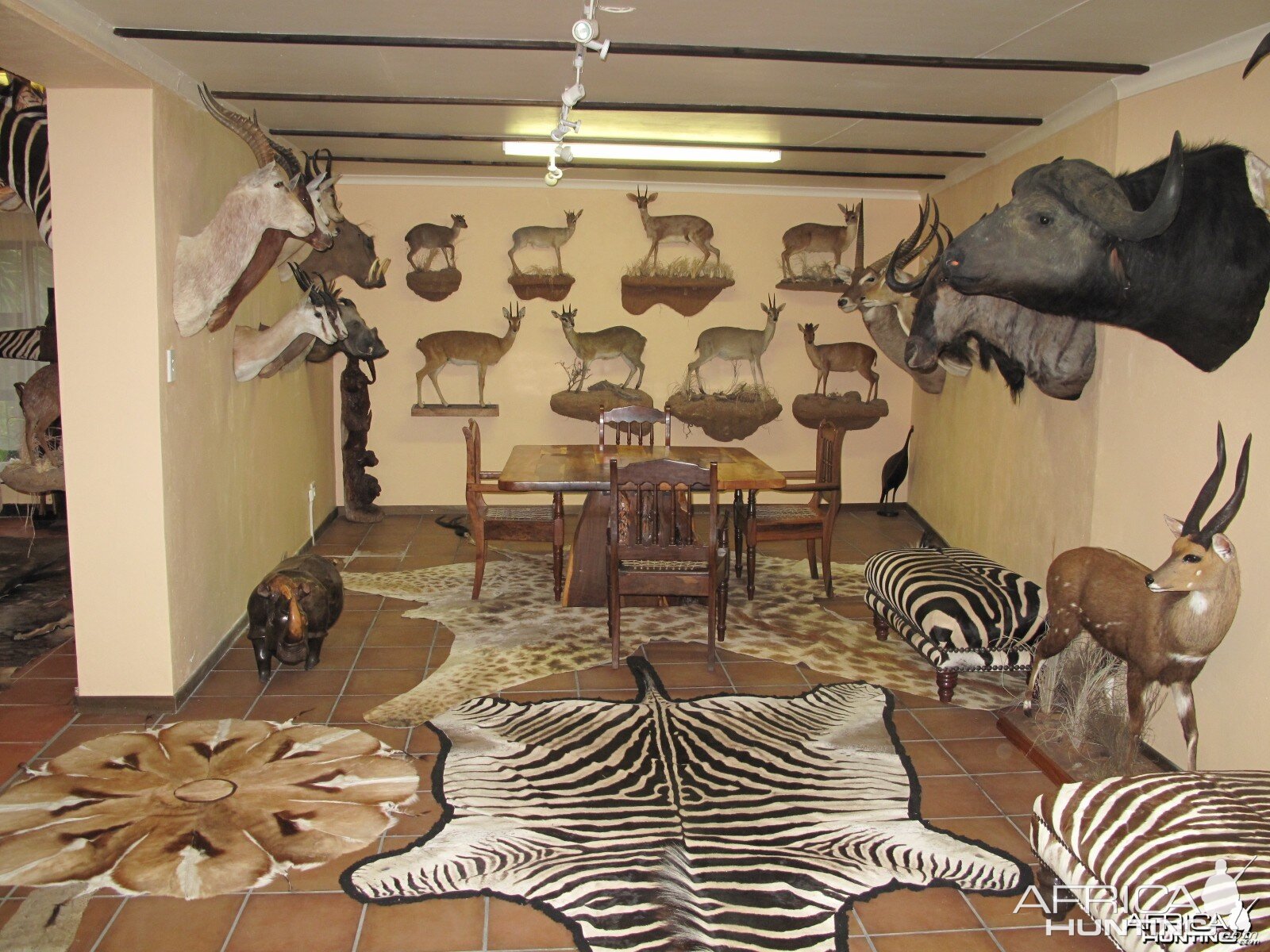 Trophy Room