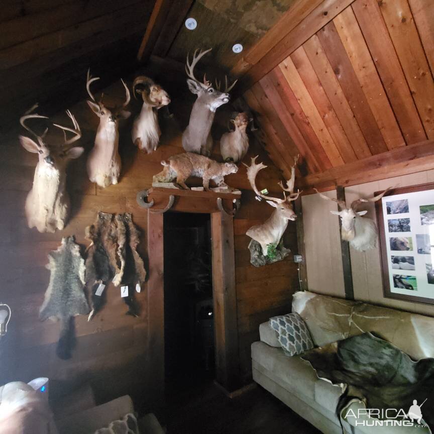 Trophy Room