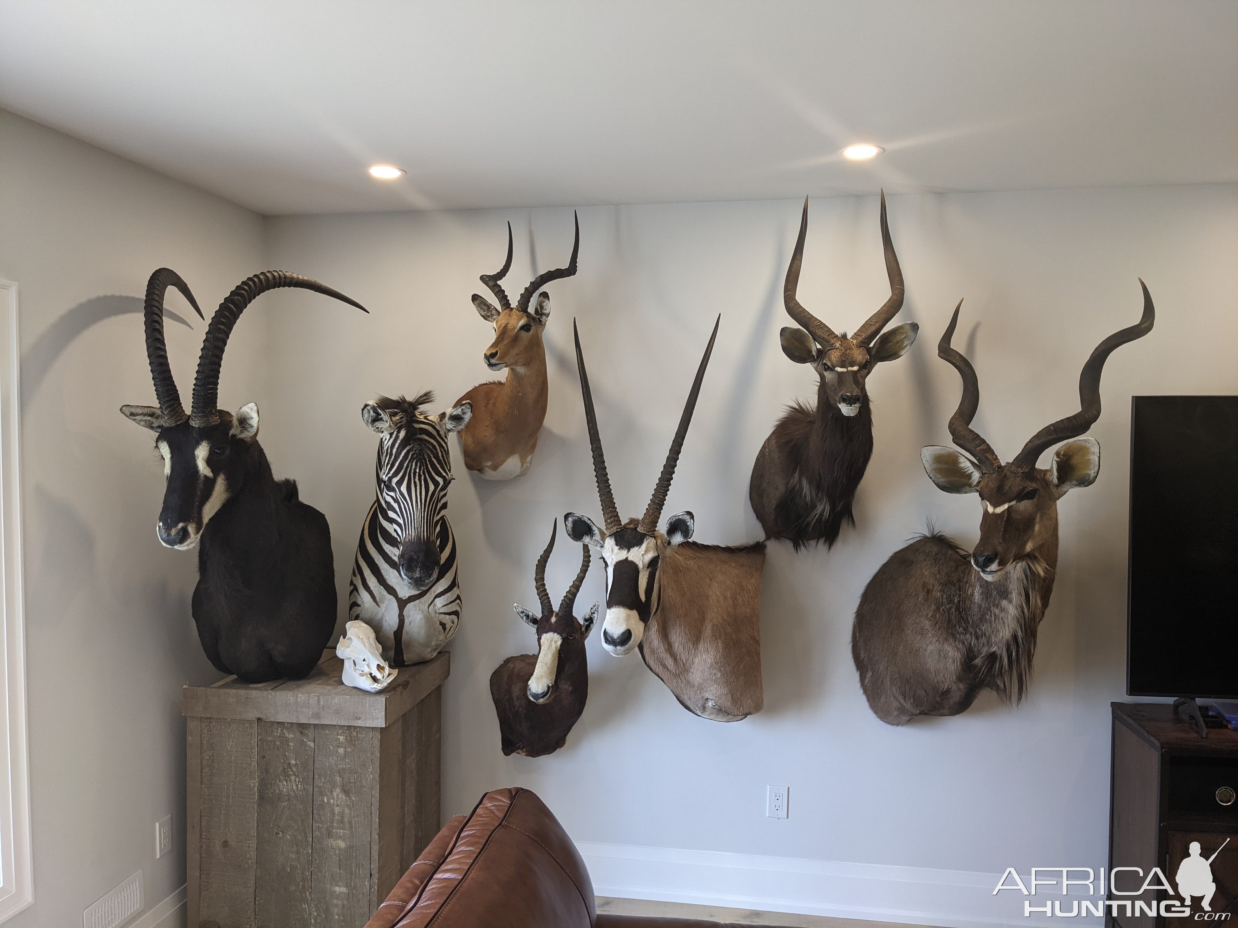 Trophy Room