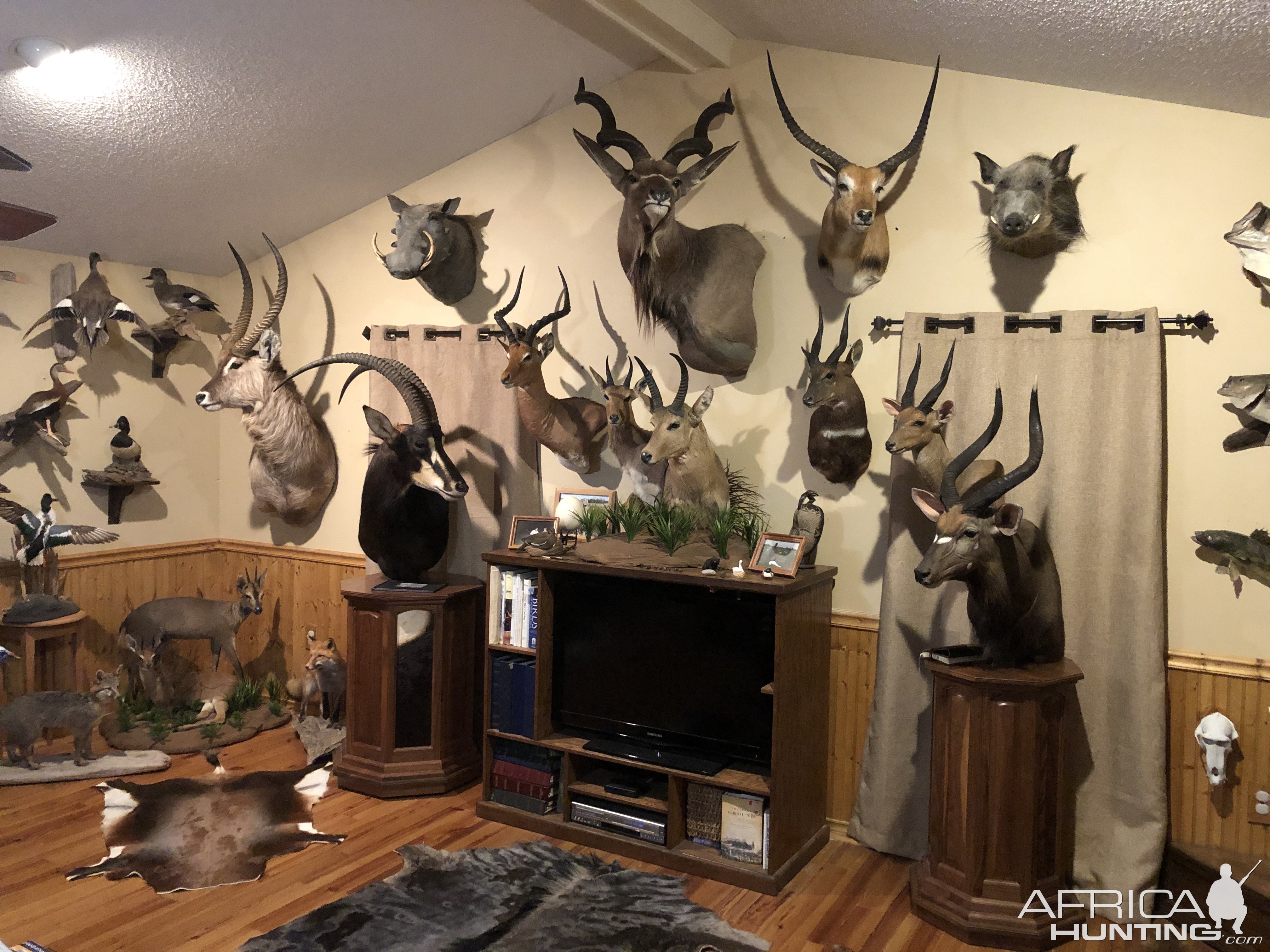 Trophy Room