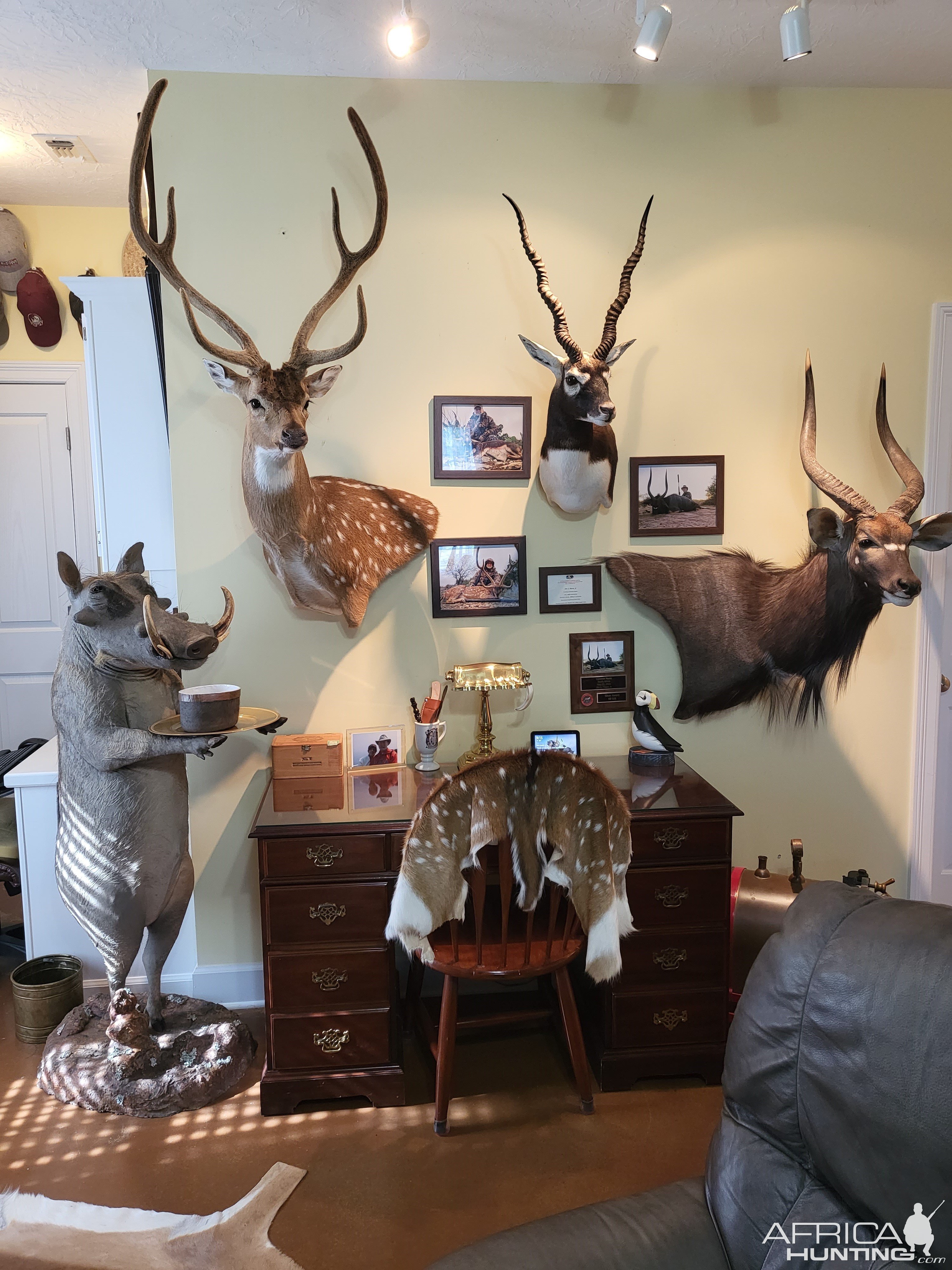 Trophy Room