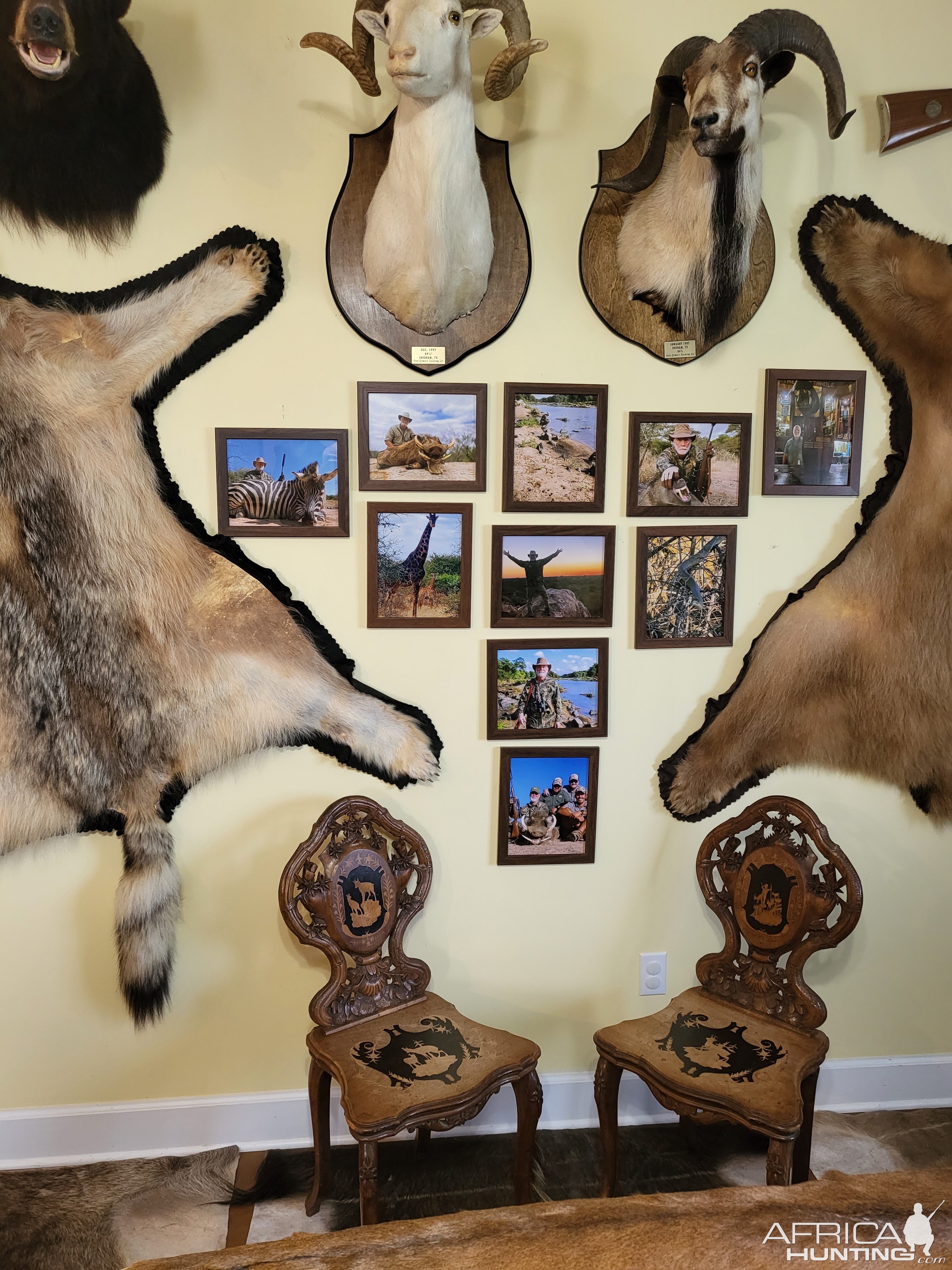 Trophy Room