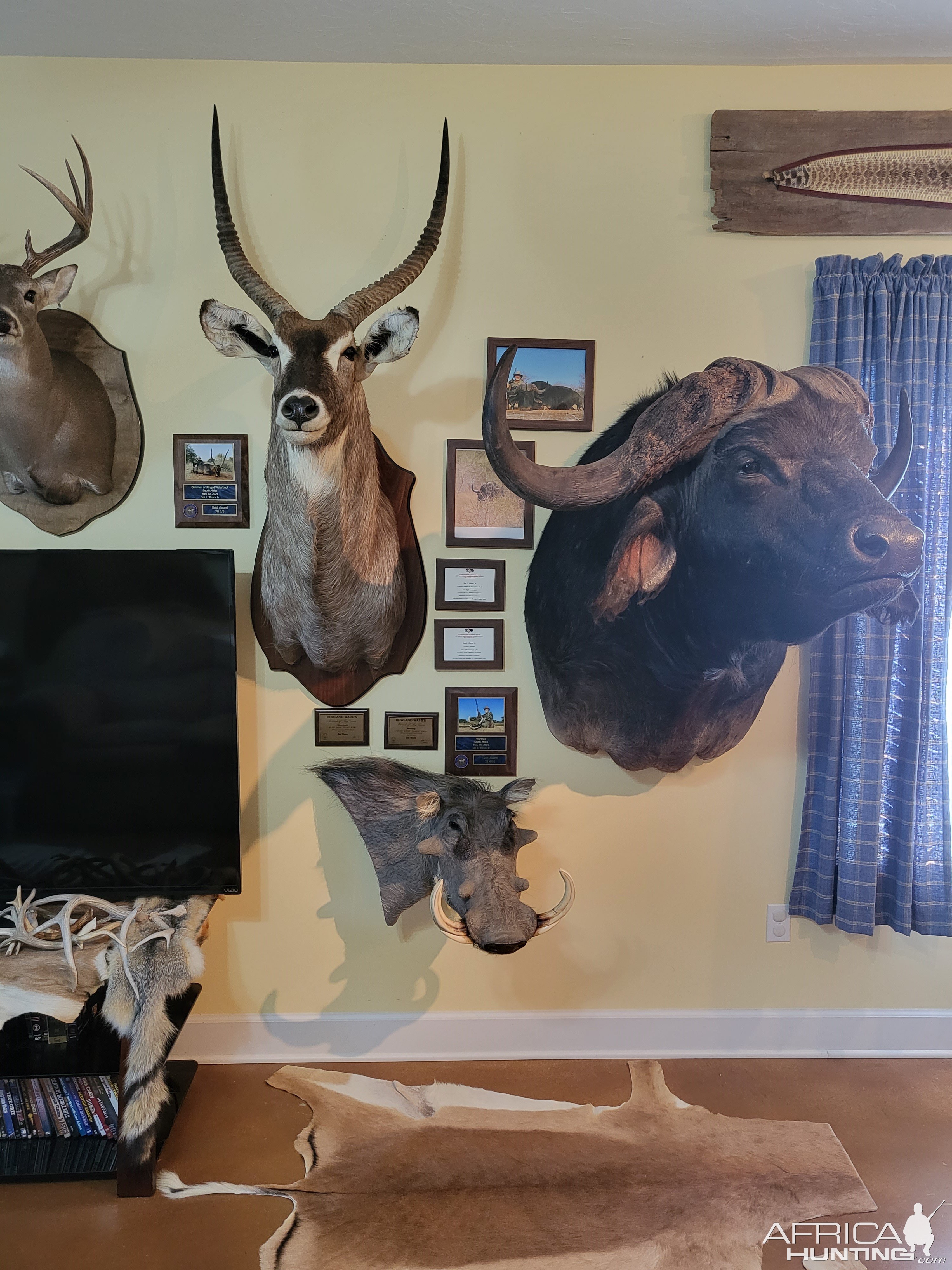 Trophy Room