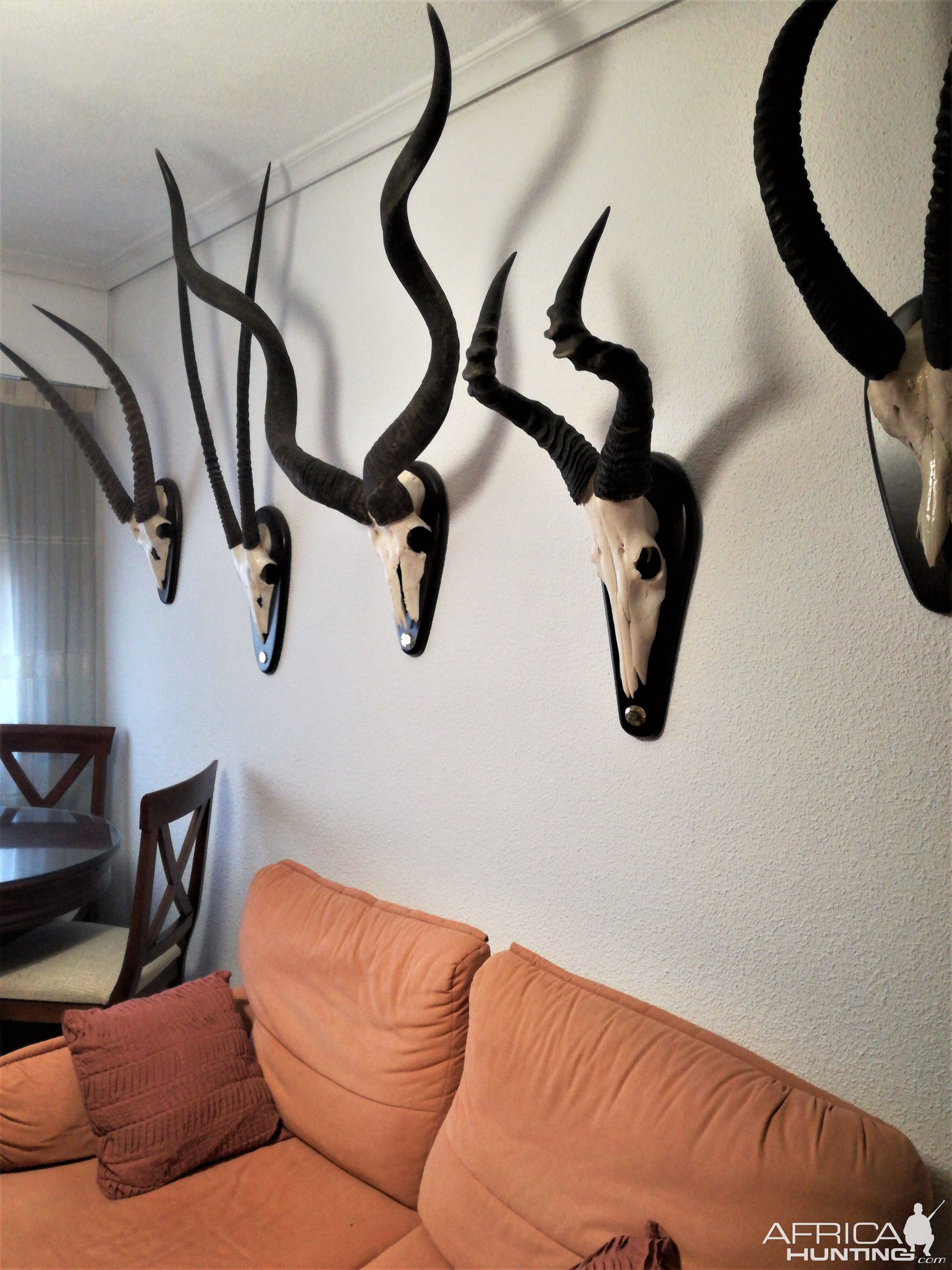 Trophy Room