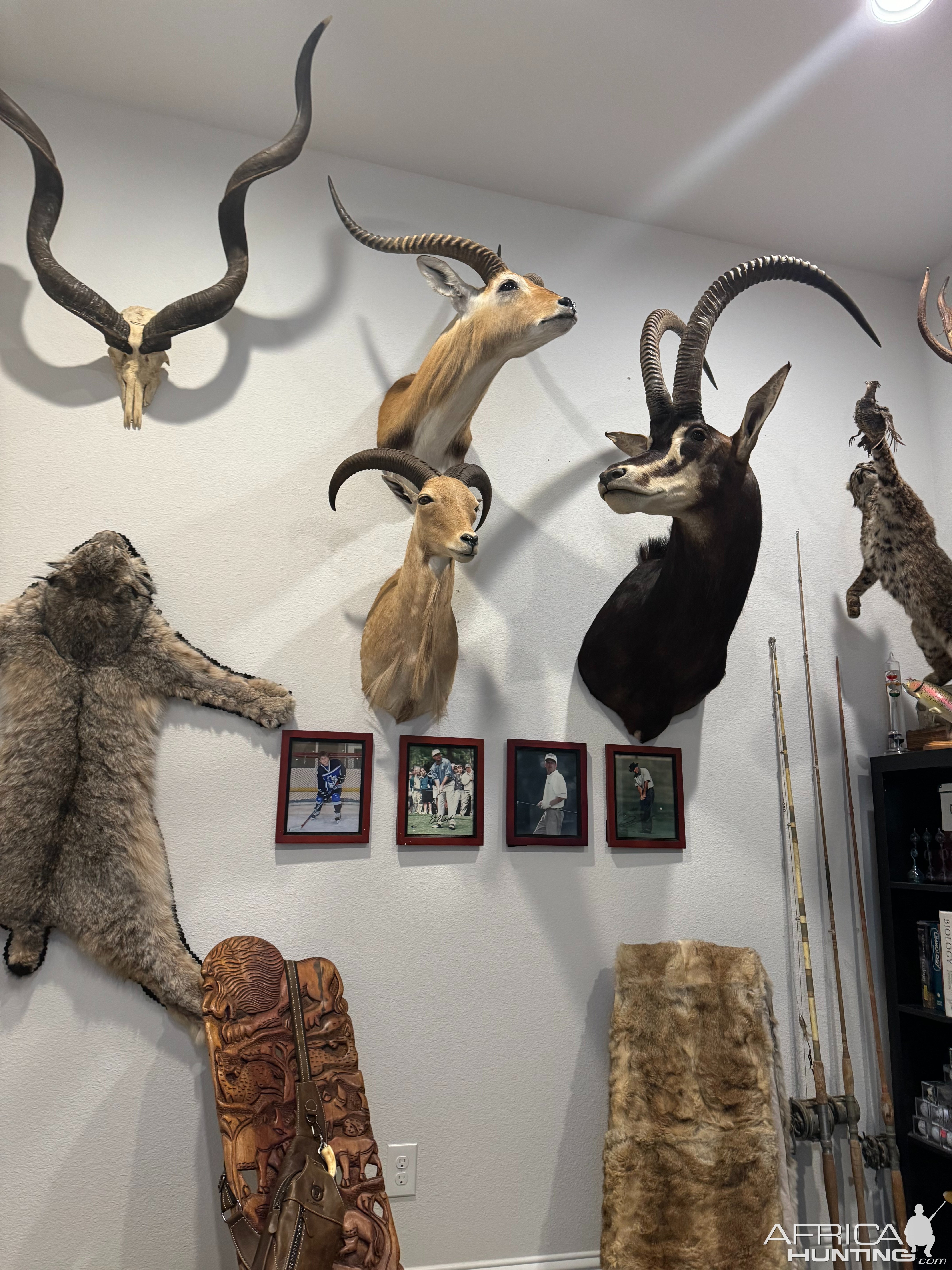 Trophy Room