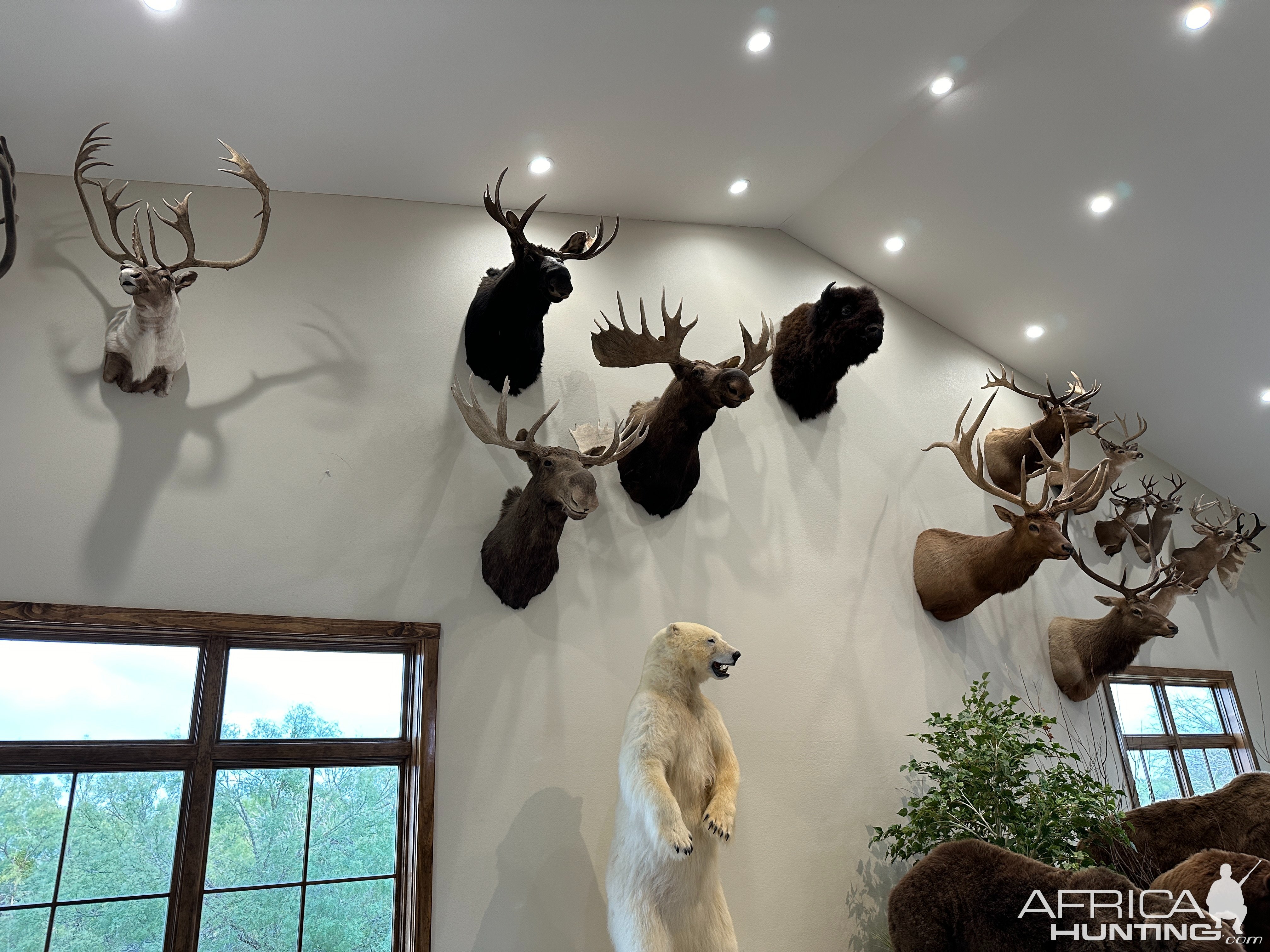 Trophy Room