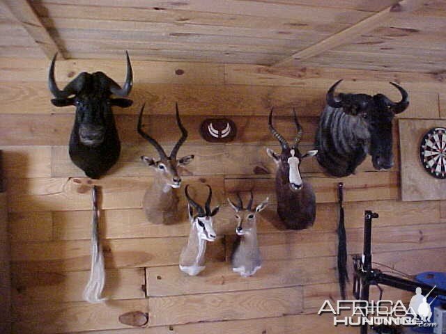 Trophy room