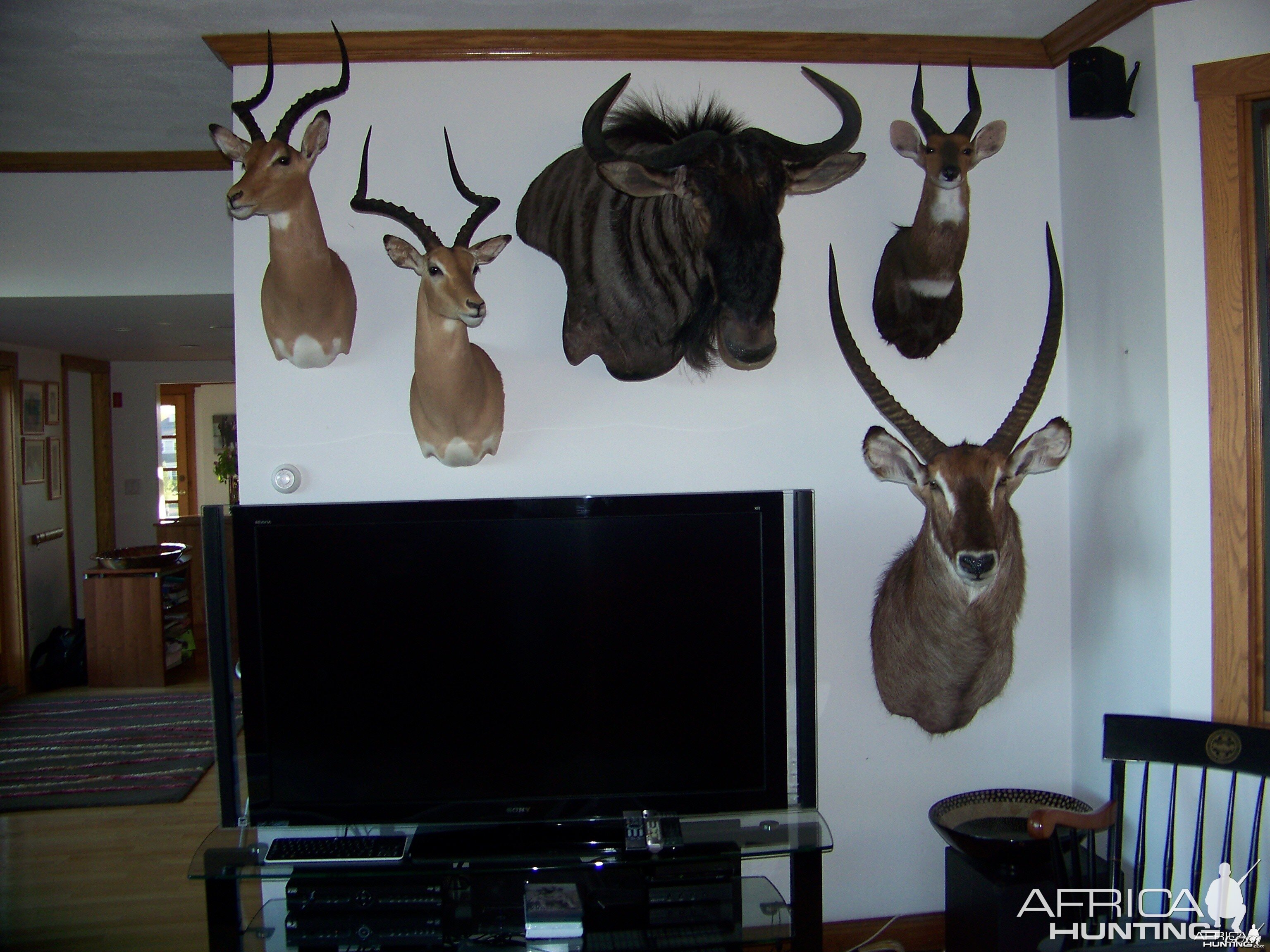 Trophy Room