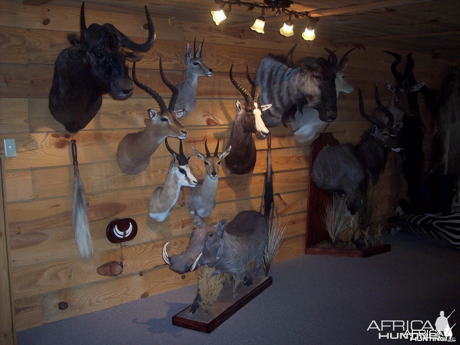 Trophy Room