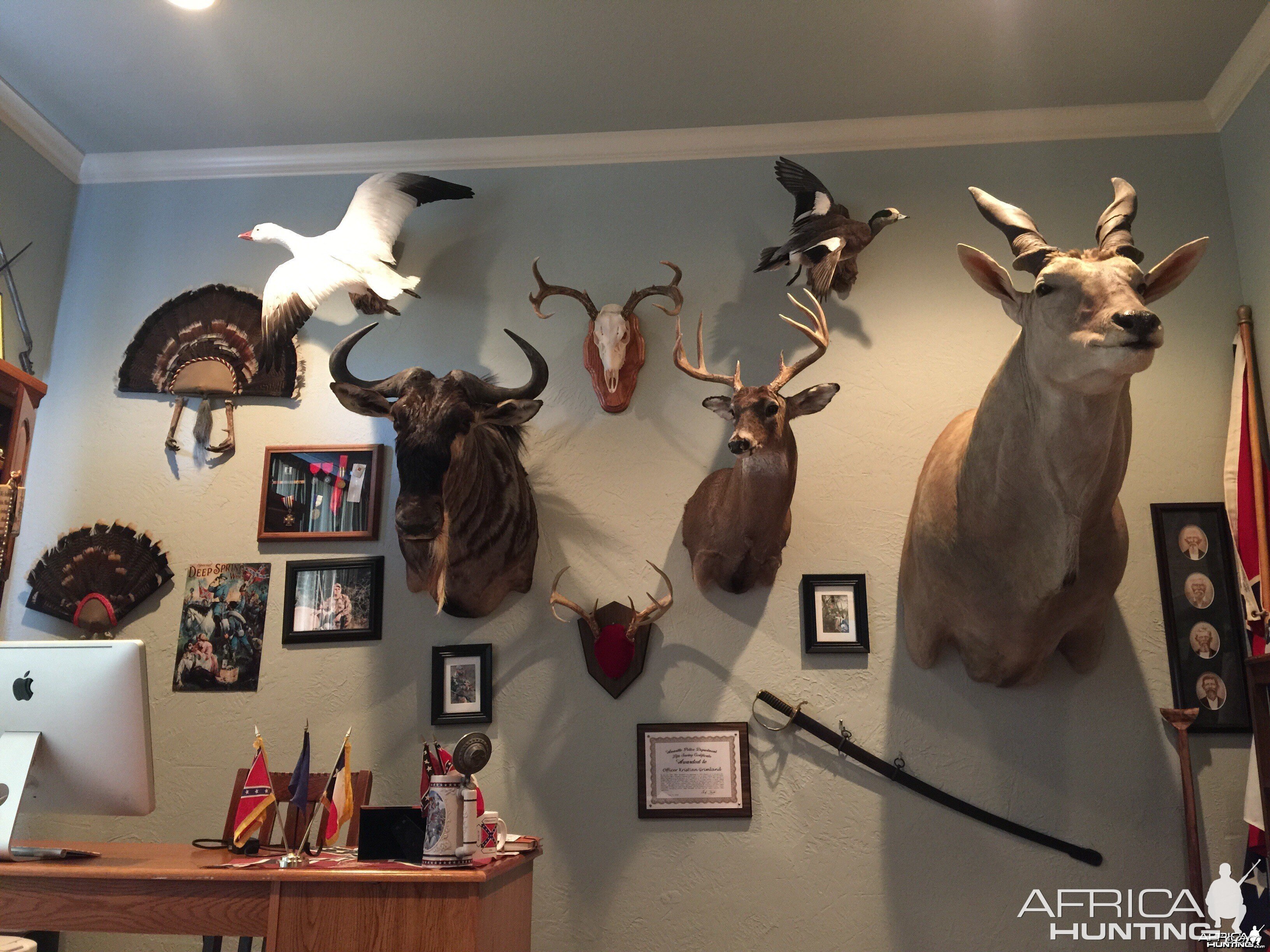 Trophy room