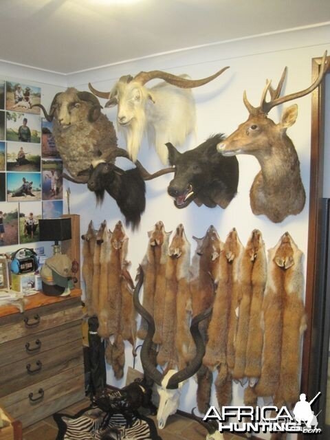 Trophy Room