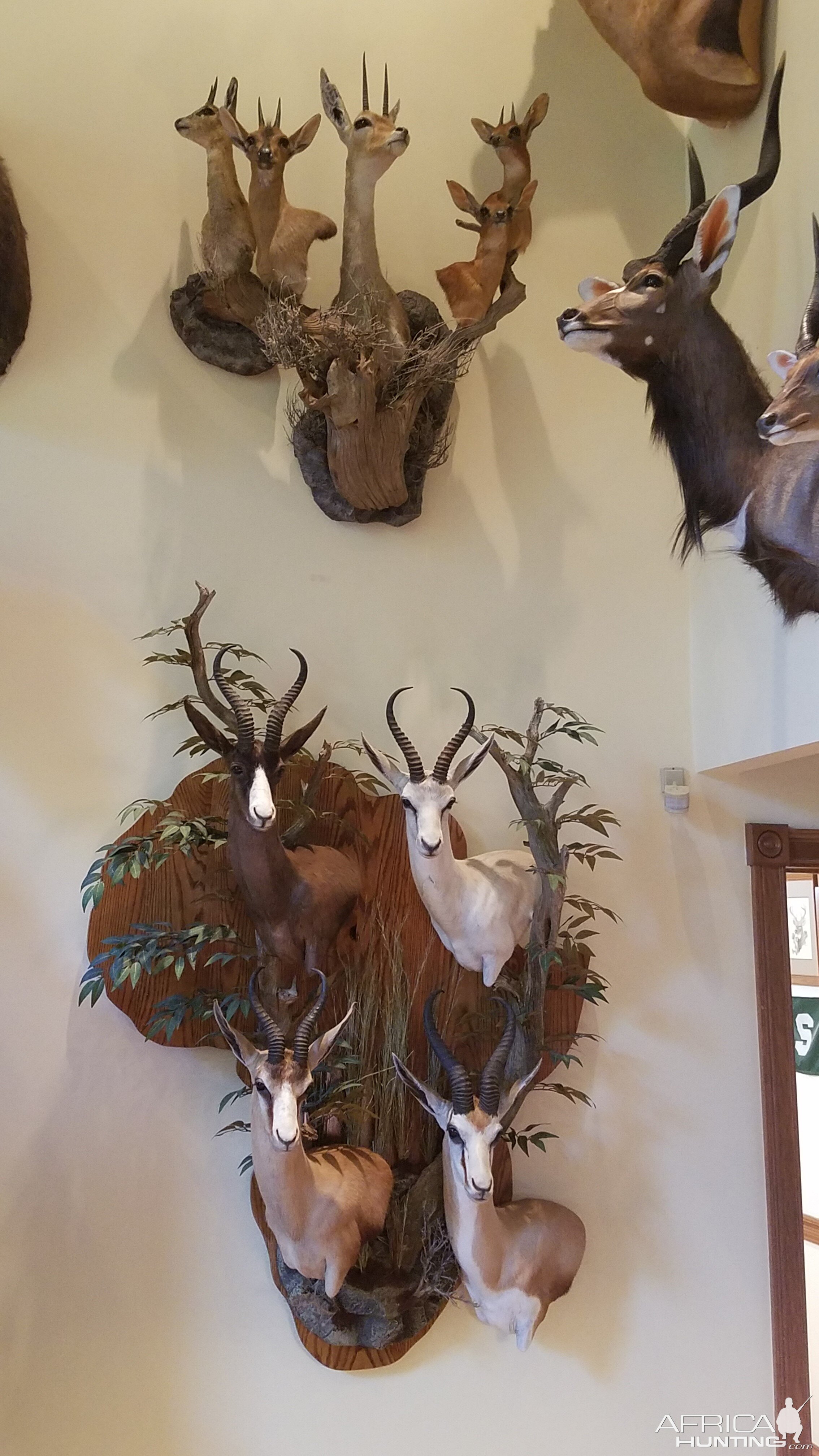 Trophy Room