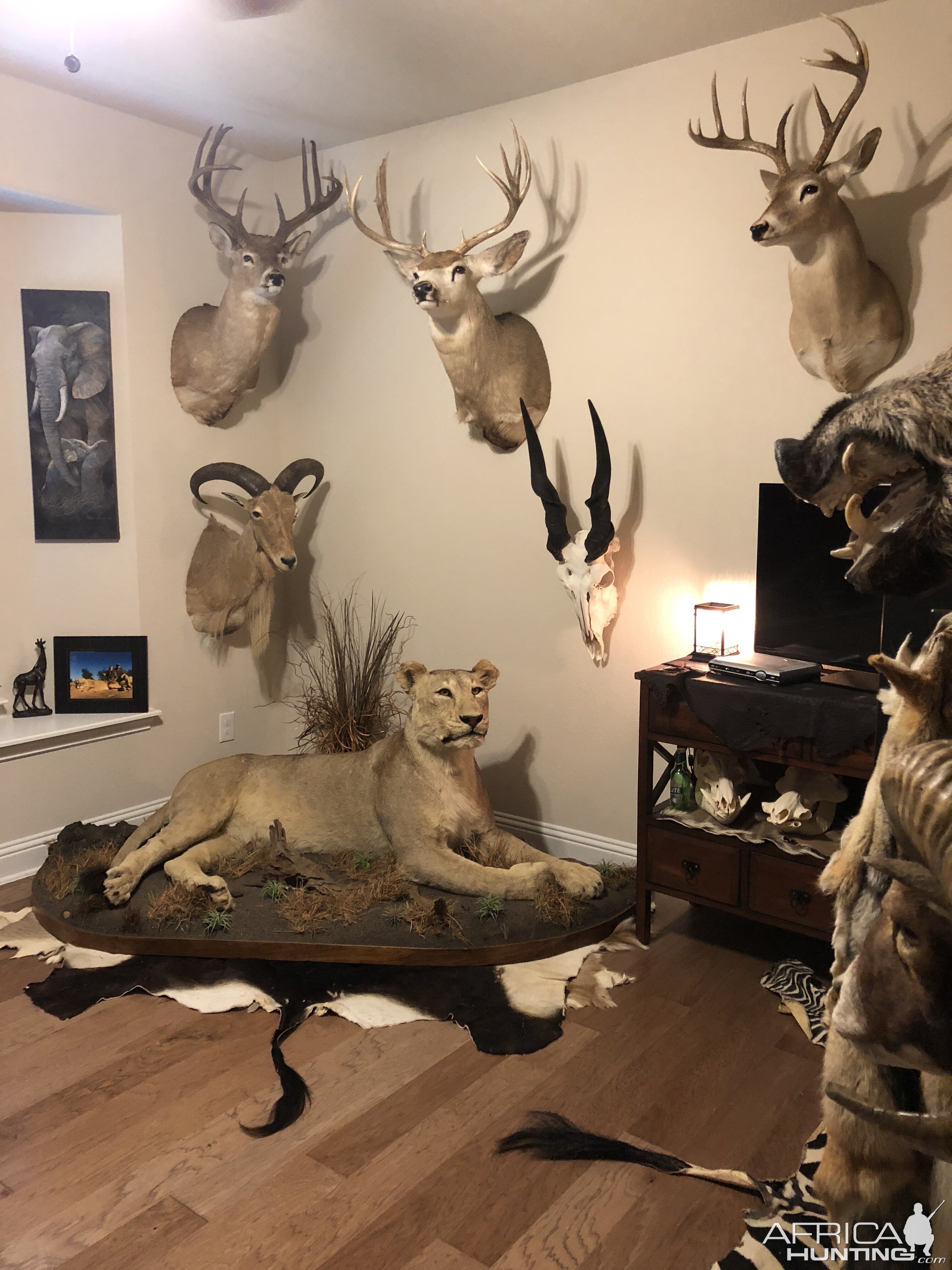 Trophy Room