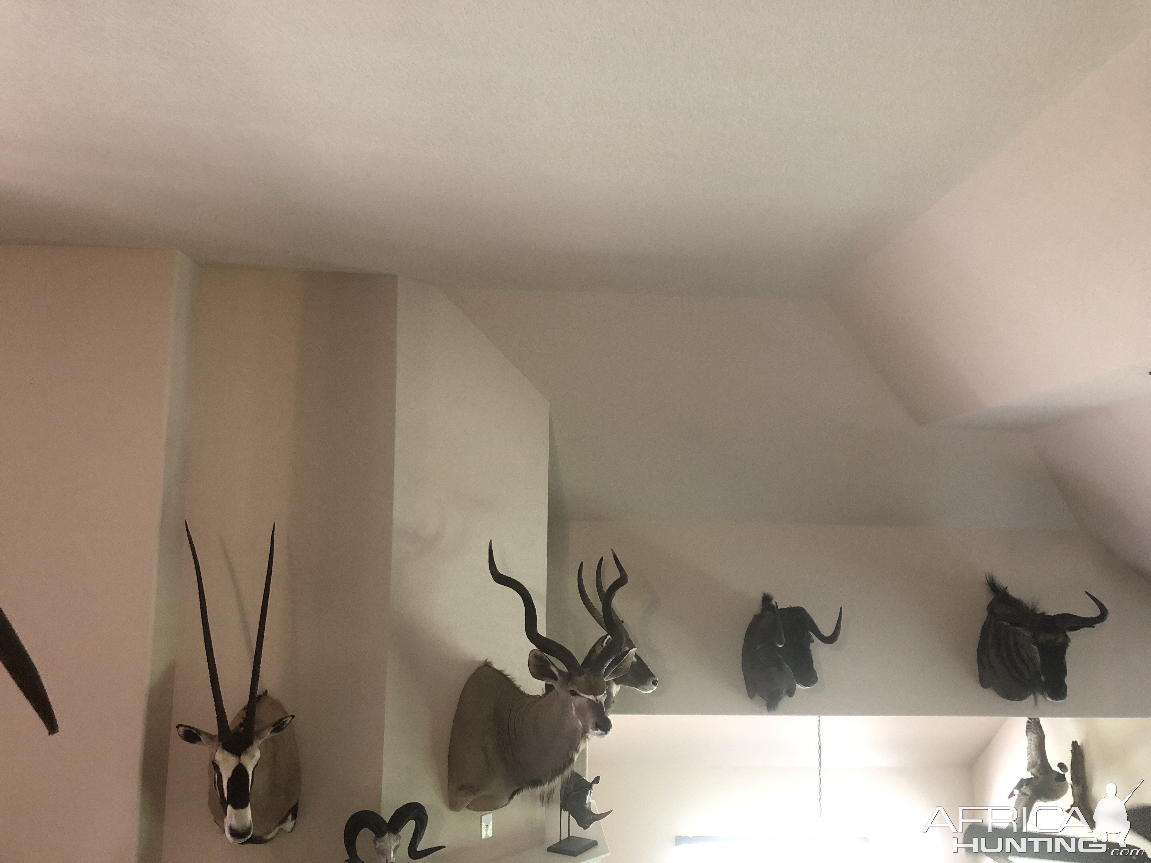 Trophy Room