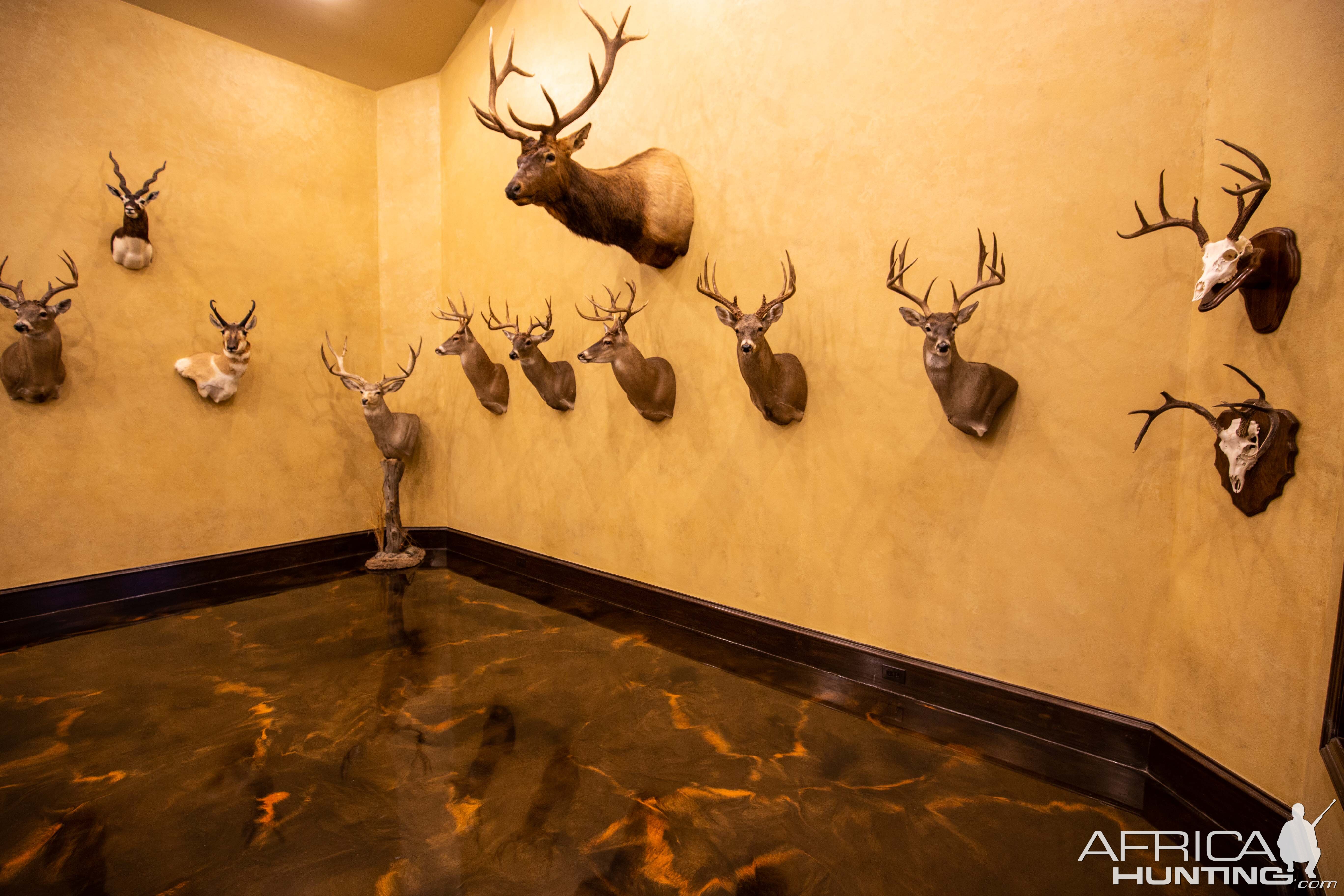 Trophy Room