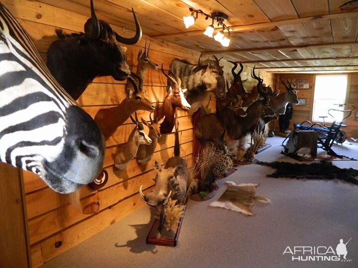 Trophy Room