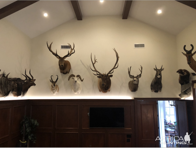 Trophy Room