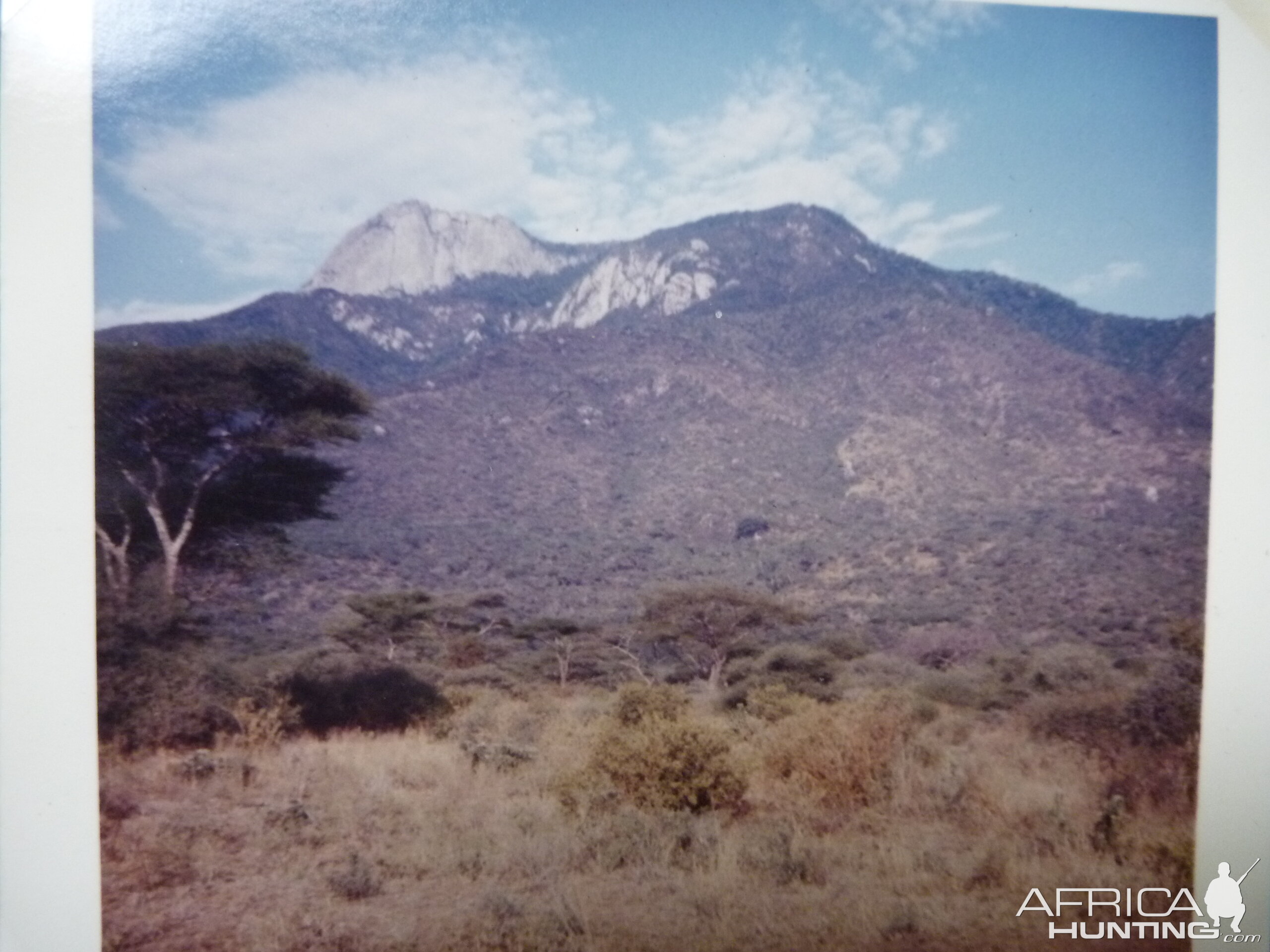 Tsavo Kenya